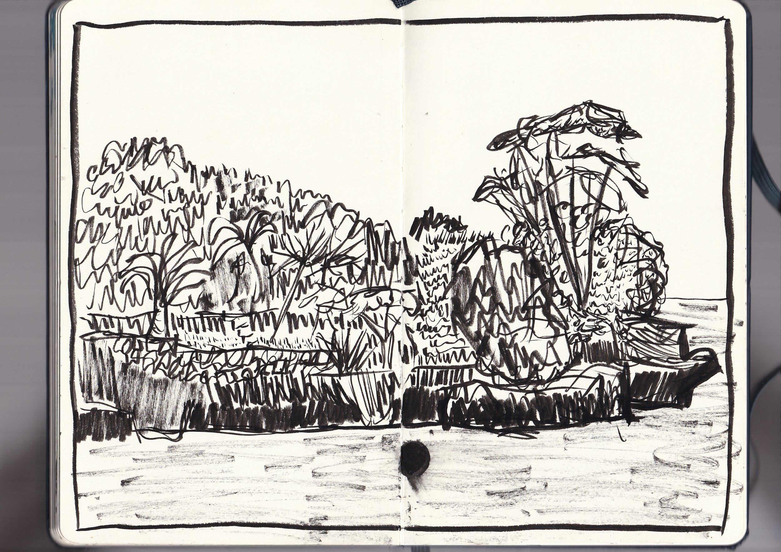 A sketch of bushes and trees drawn with black marker on an open white notebook.