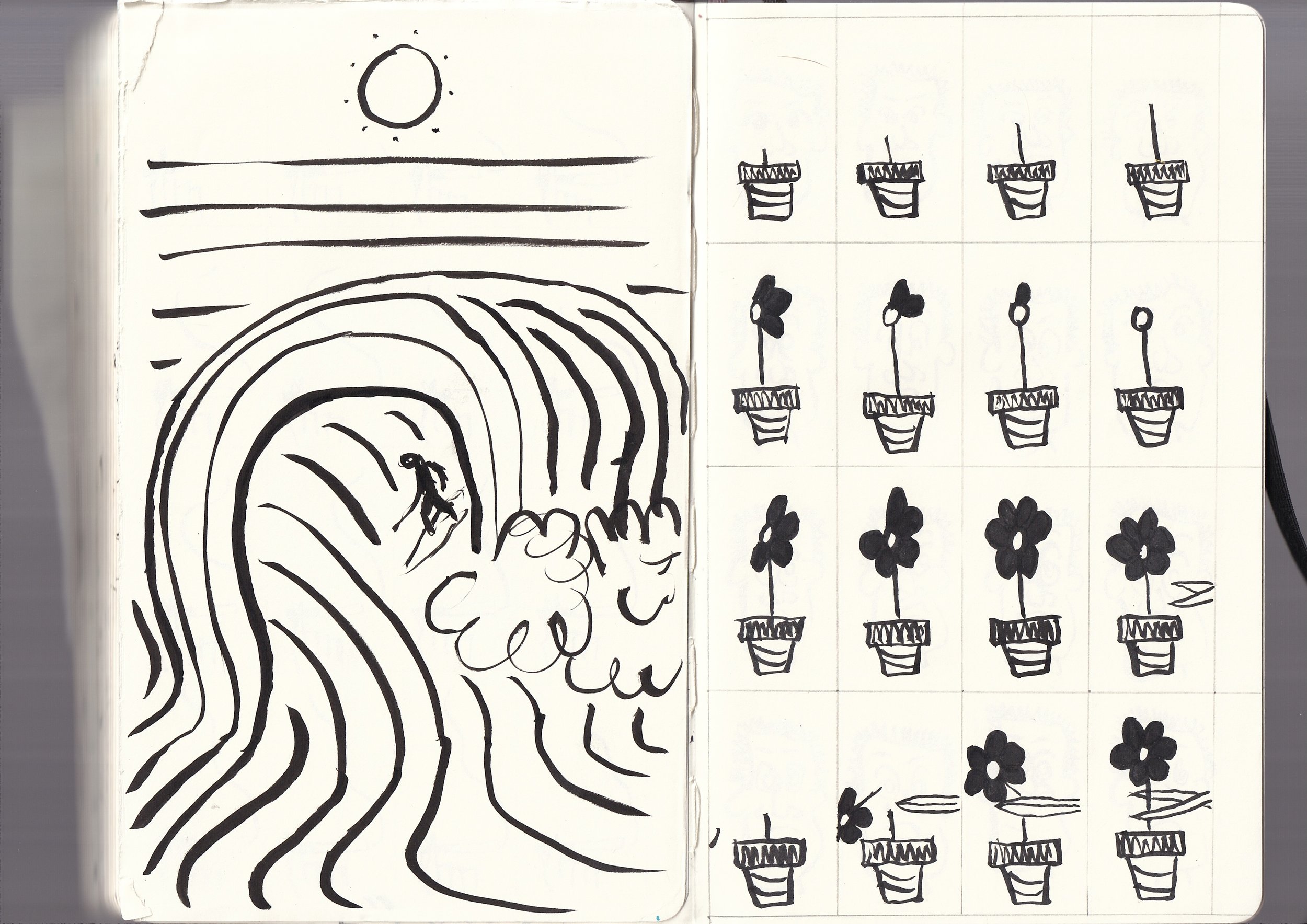 Black and white sketch of the sun and horizon line on the left side, with concentric rainbow-like lines beneath it. Below the rainbow lines, there are plants growing in pots, some with flowers, on the right side.