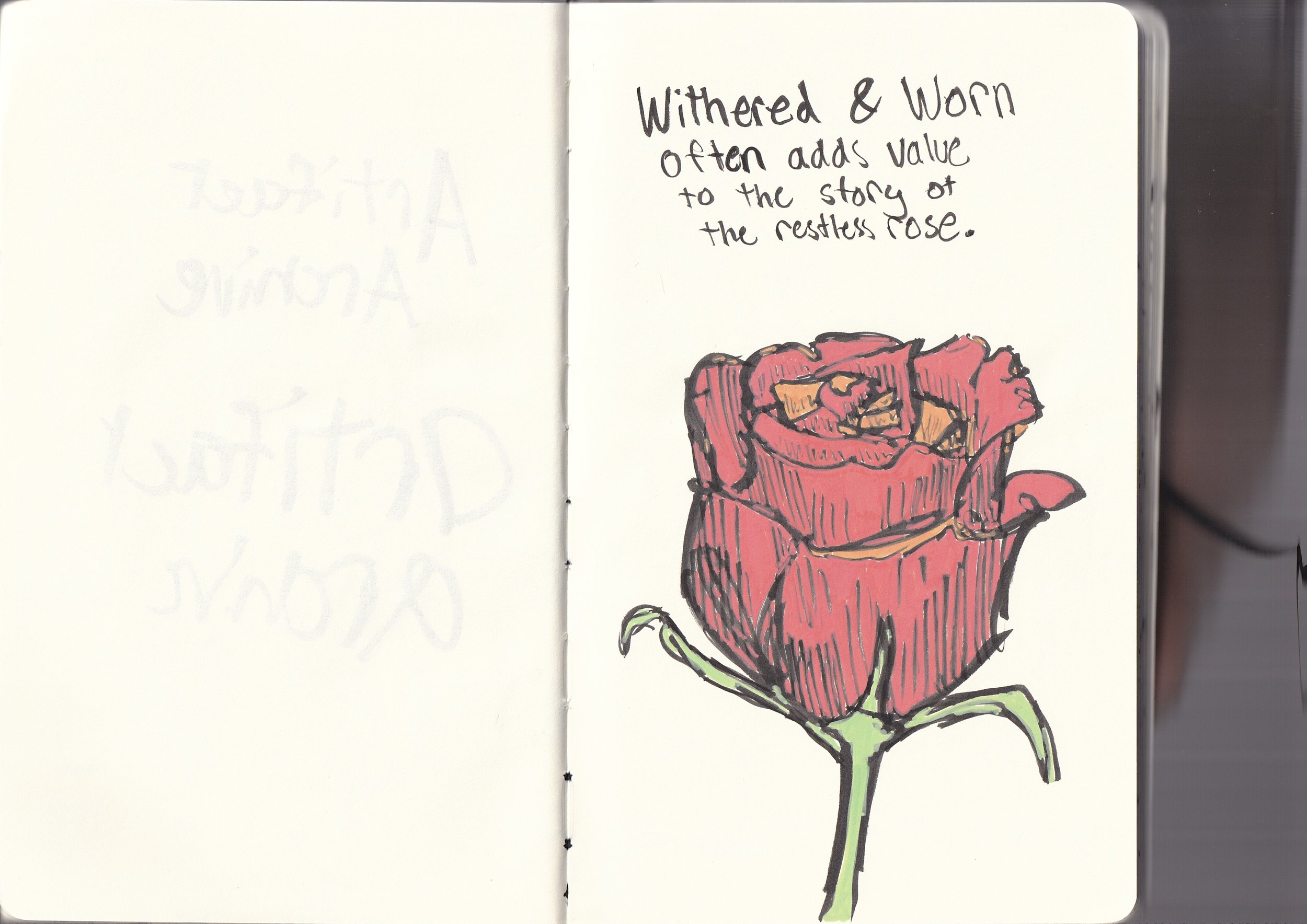 Hand-drawn illustration of a red rose with green stem and leaves, accompanied by handwritten text that reads 'Withered & Worn often adds value to the story of the restless rose.'