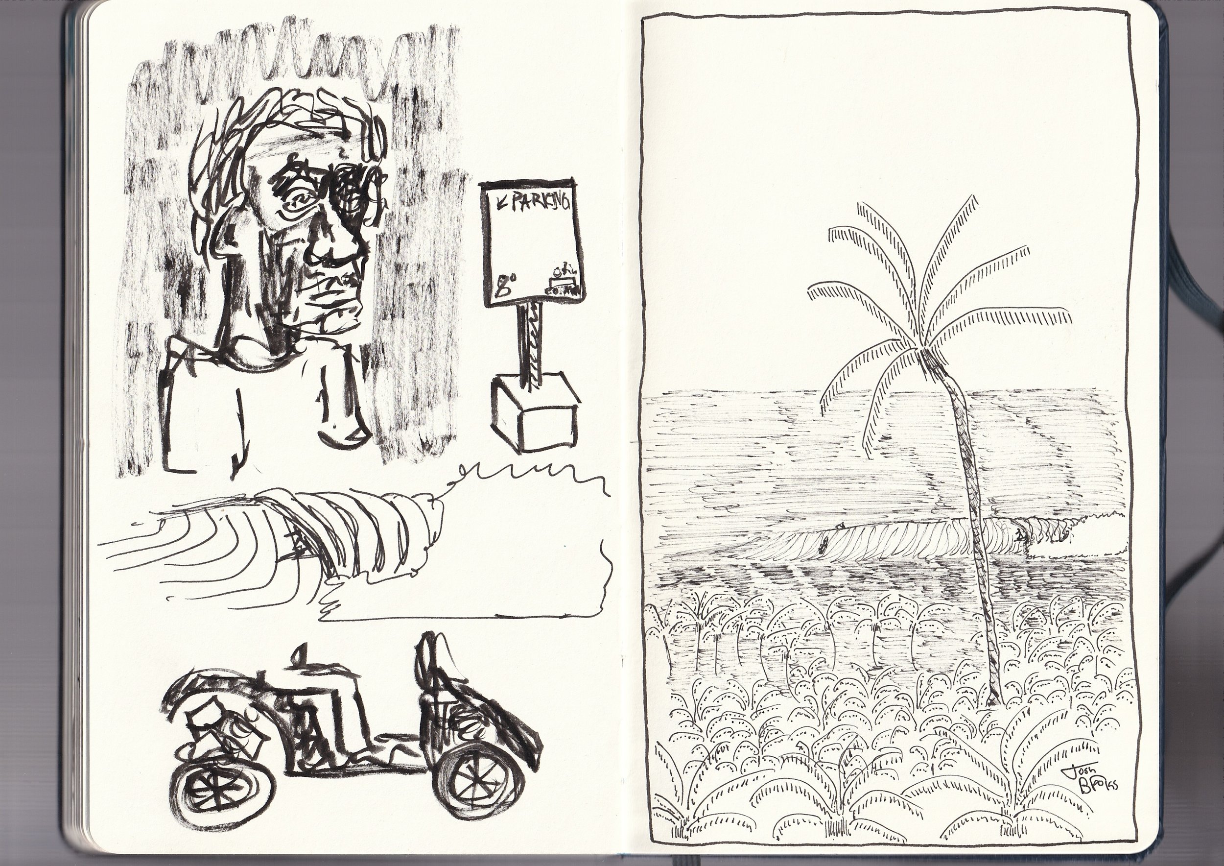 A sketchbook page with two ink drawings: on the left, a portrait of a person with glasses and curly hair, and a baby stroller below; on the right, a landscape with a single palm tree and patterned ground.