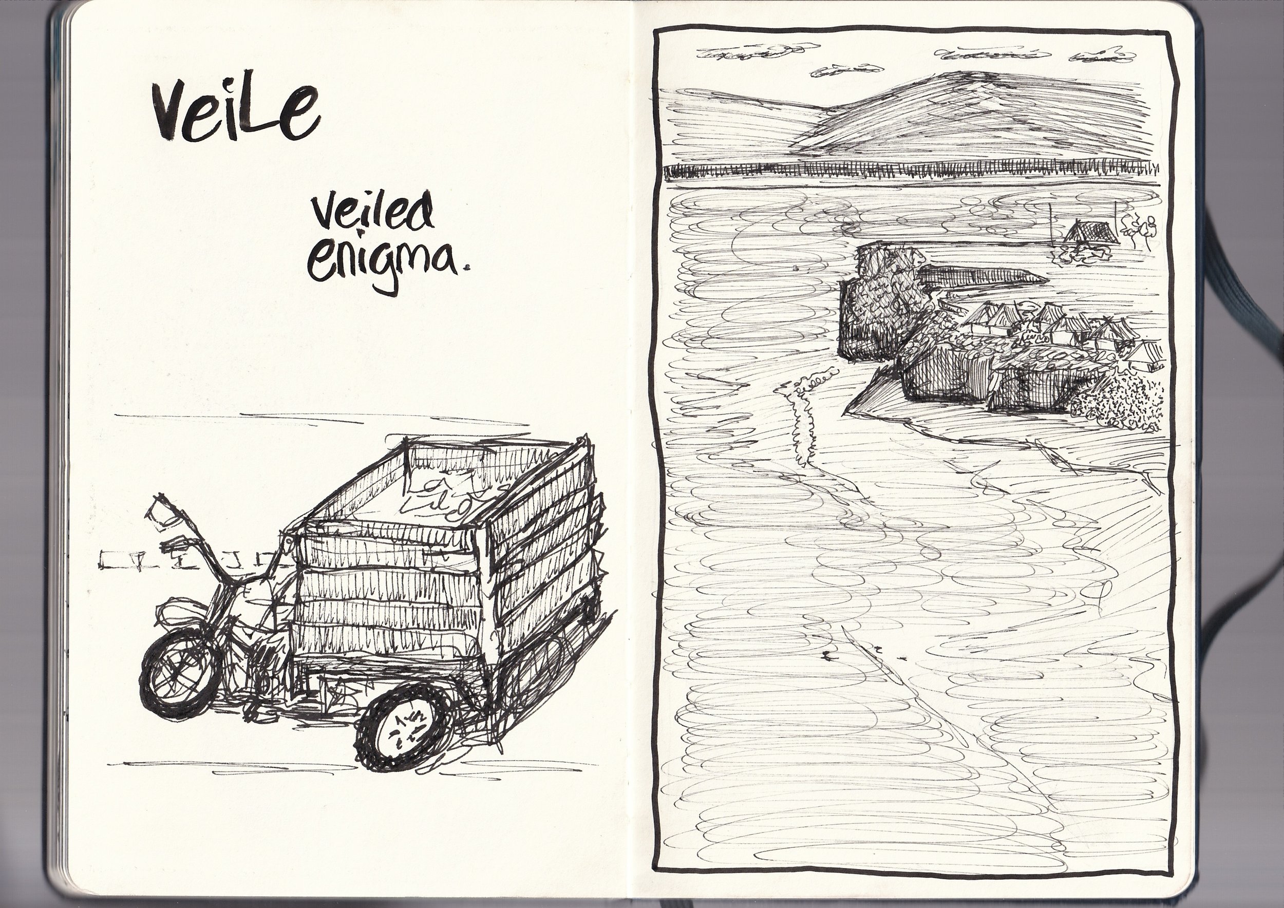 A black and white ink sketch of a scenic landscape including a mountain, a body of water, a small cabin, and houses along the shoreline with trees, all on the right page. The left page contains handwritten text that reads "veile veiled enigma".