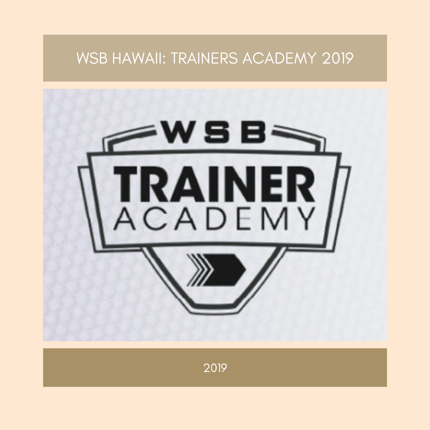 Trainers Academy 2019