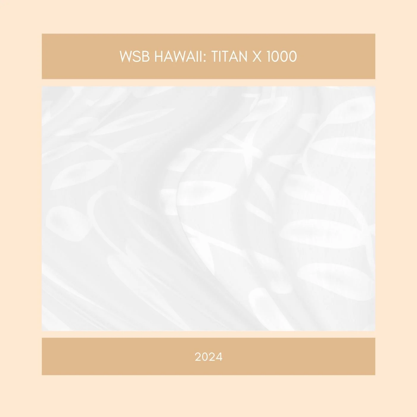 TitanX 1000