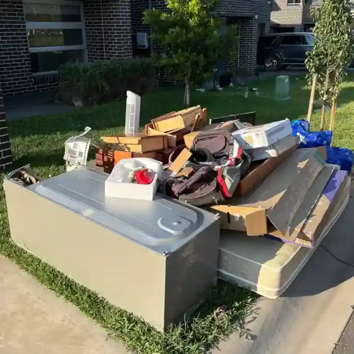 Lilydale Rubbish.webp