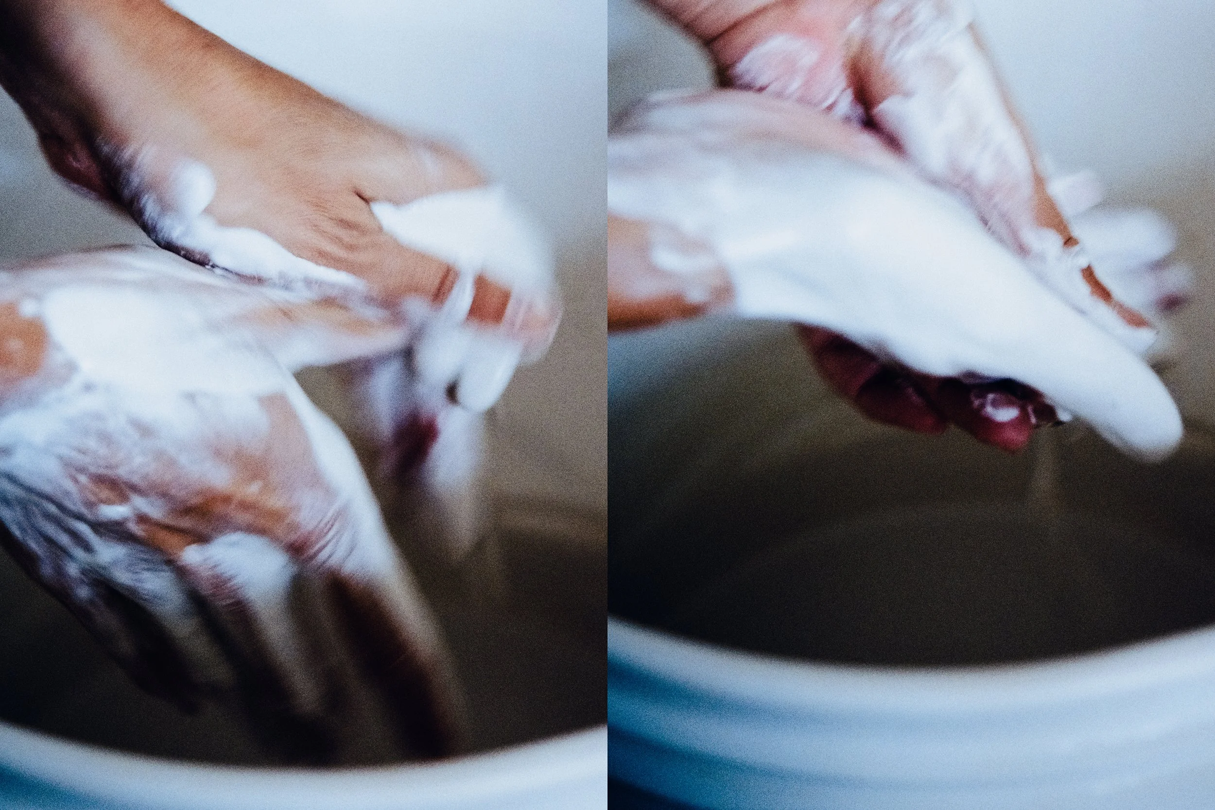 Natalie Weinberg Instagram 3x44.jpg