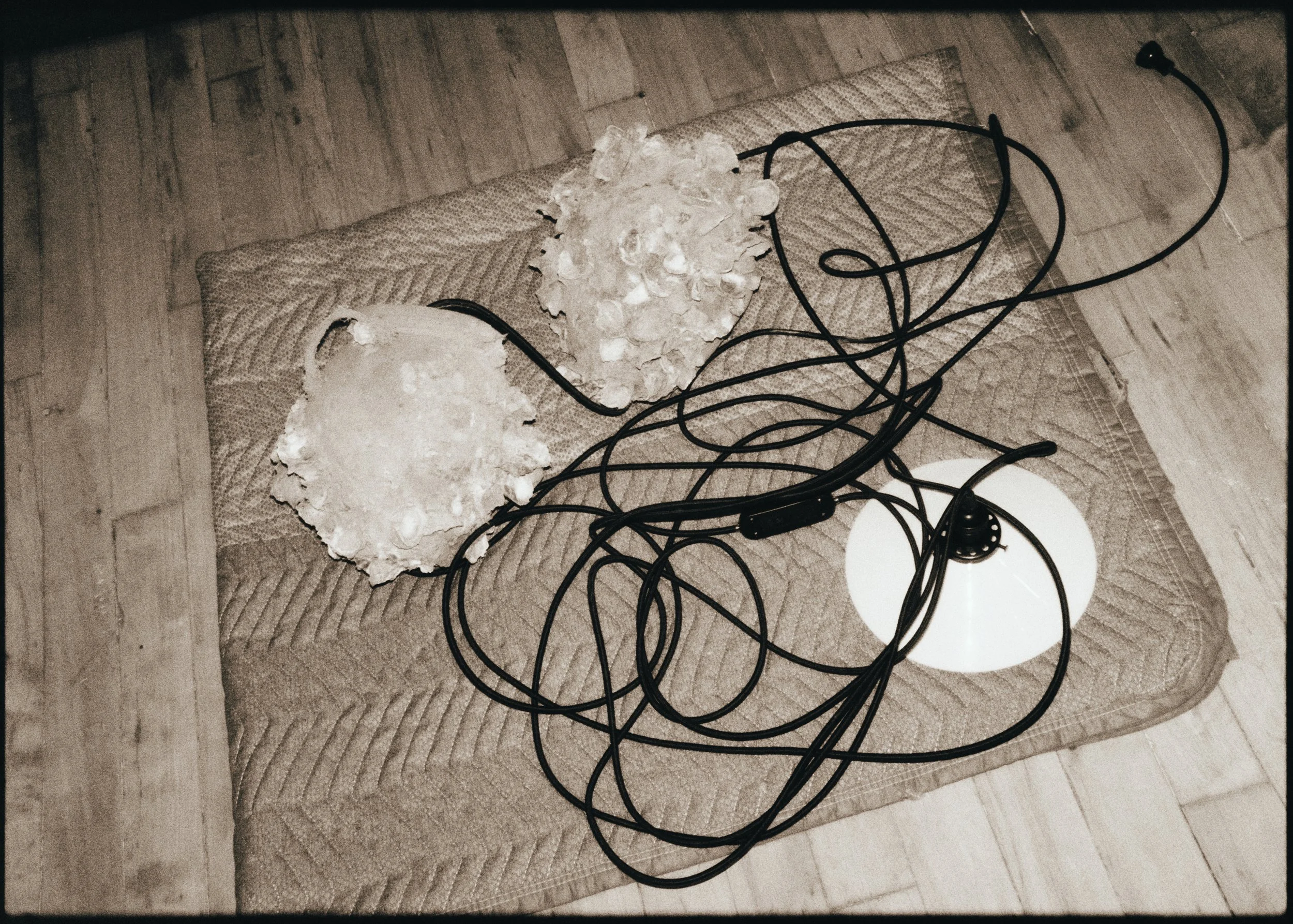 DSCF1187.jpg