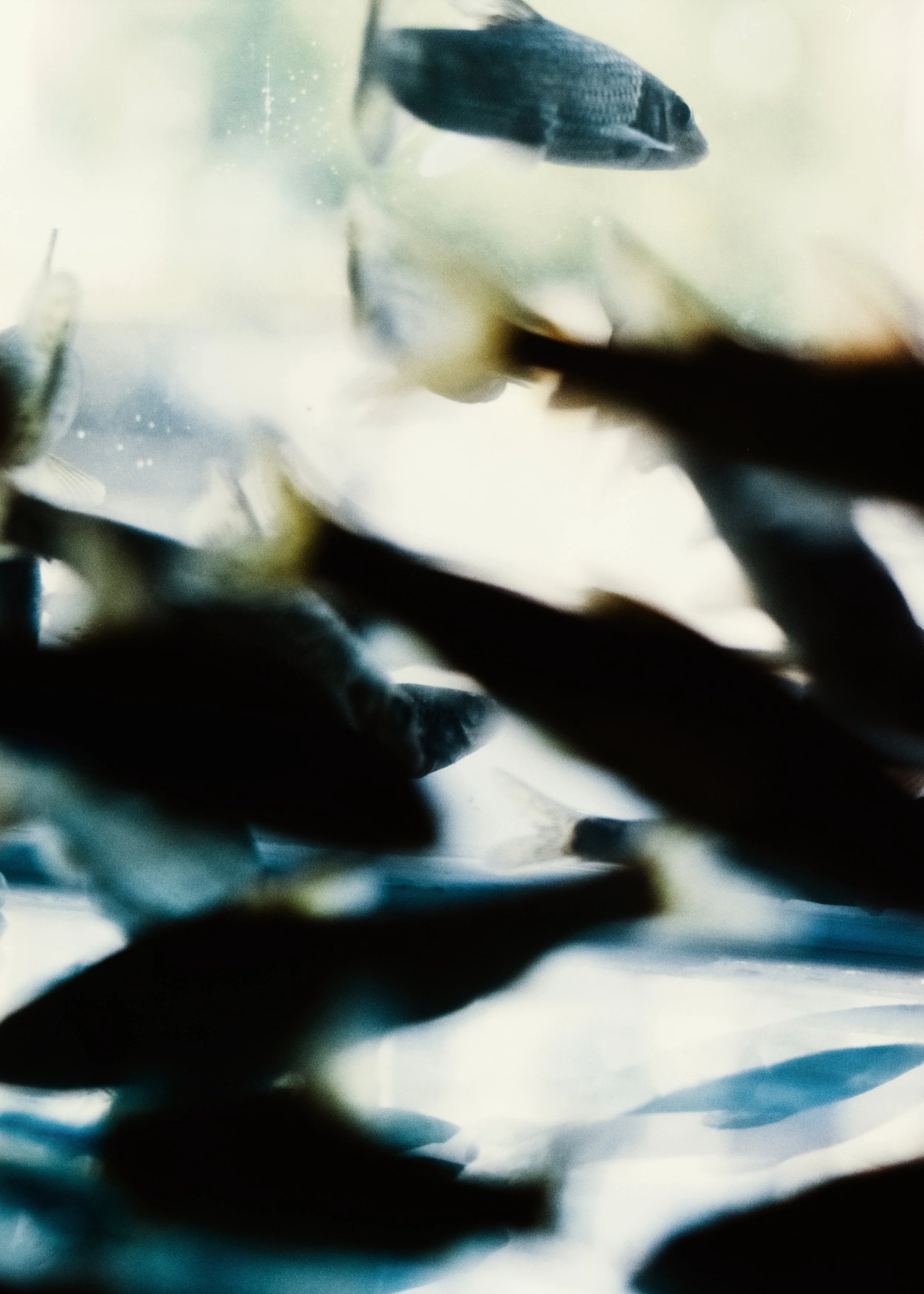 DSCF1634.jpg