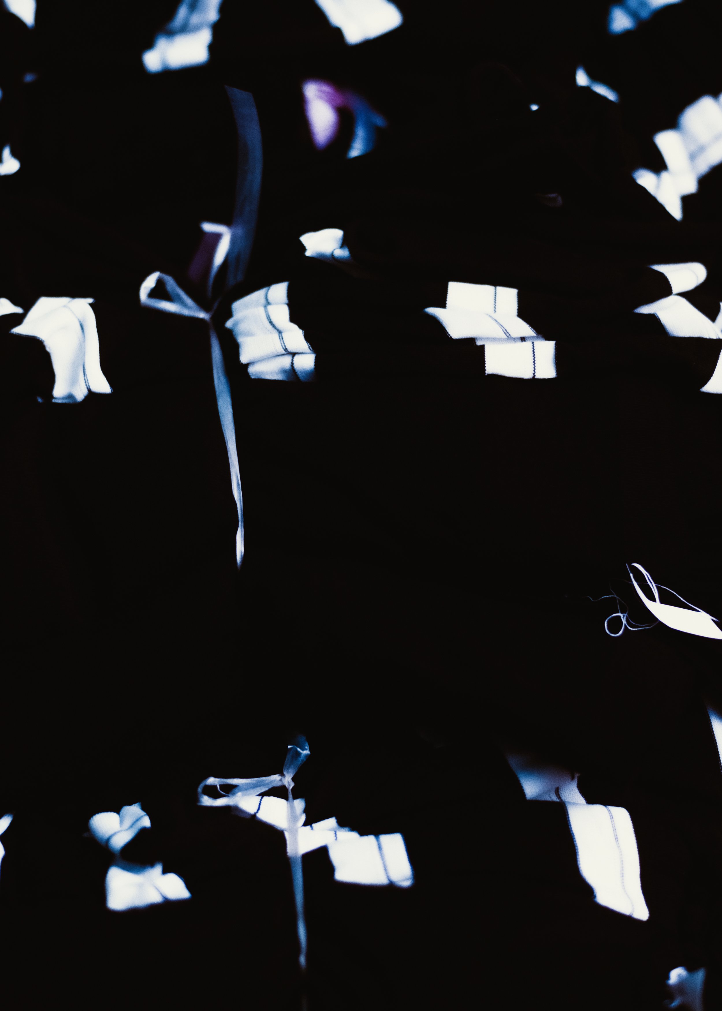 DSCF0614.jpg