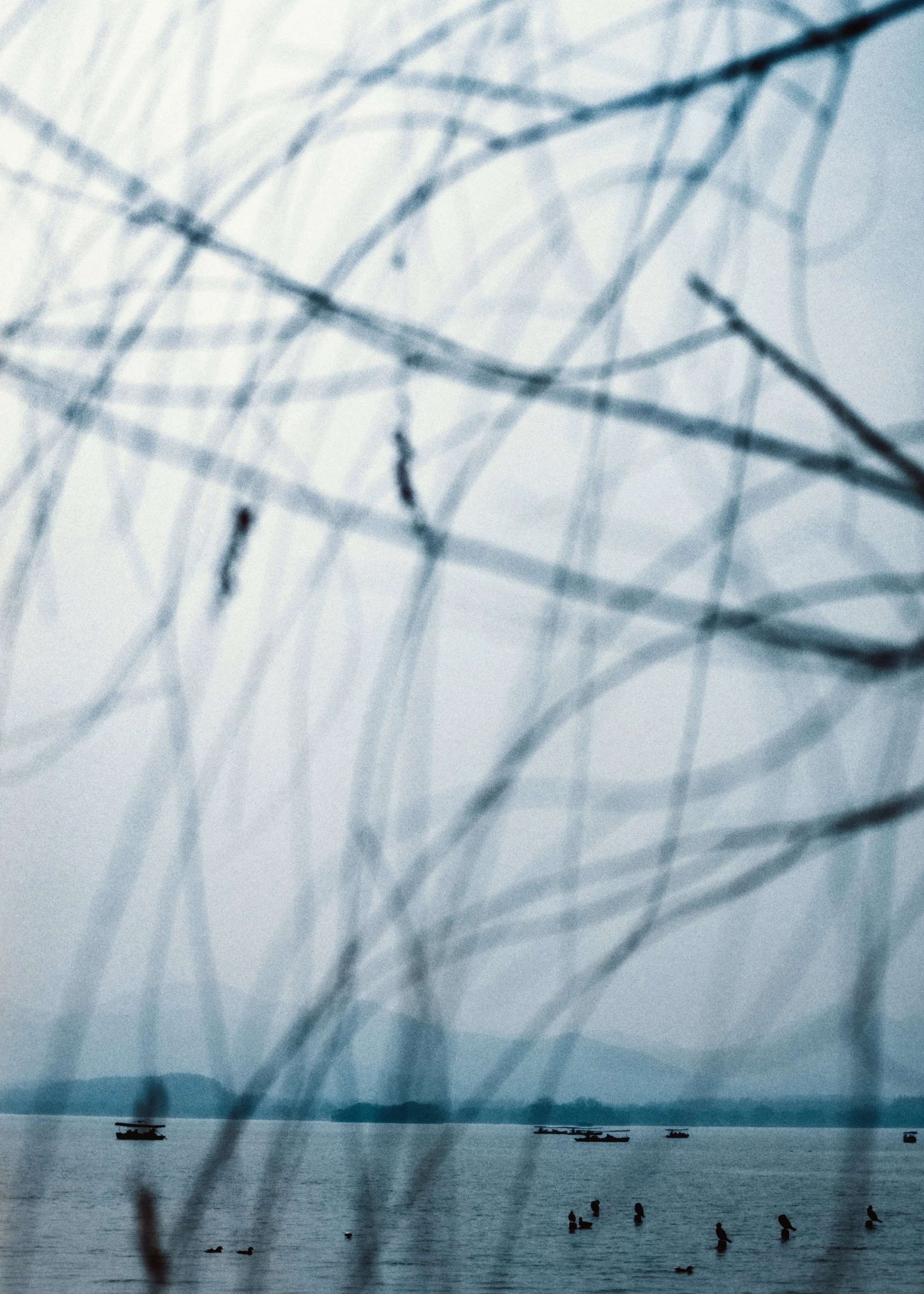 DSCF1071.jpg