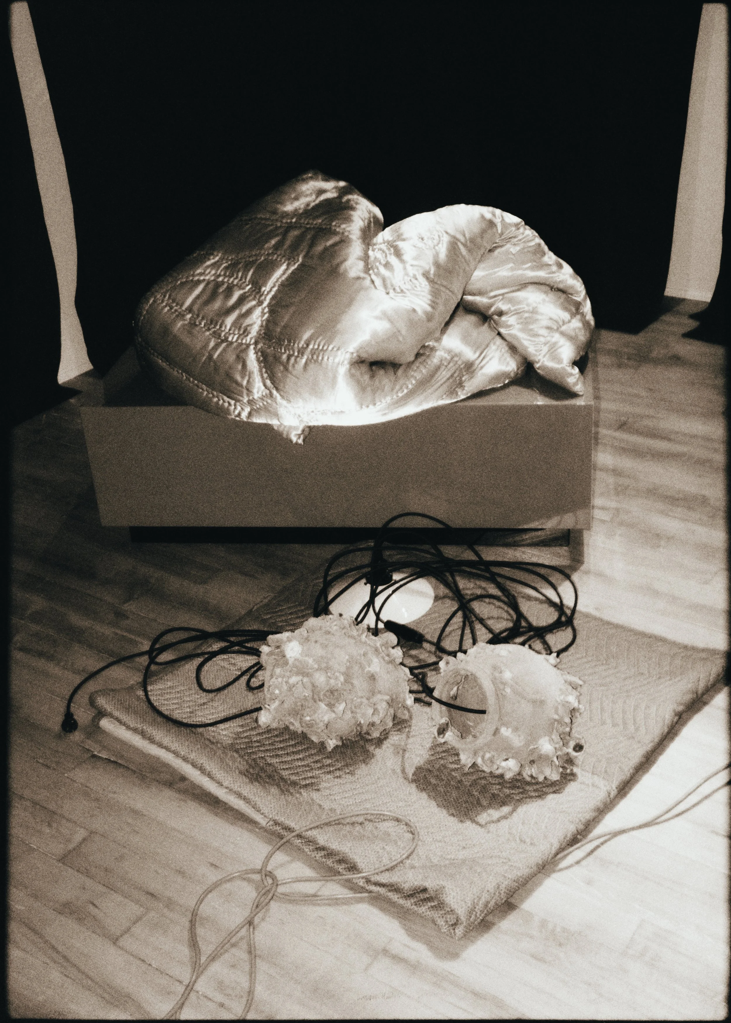 DSCF1183.jpg