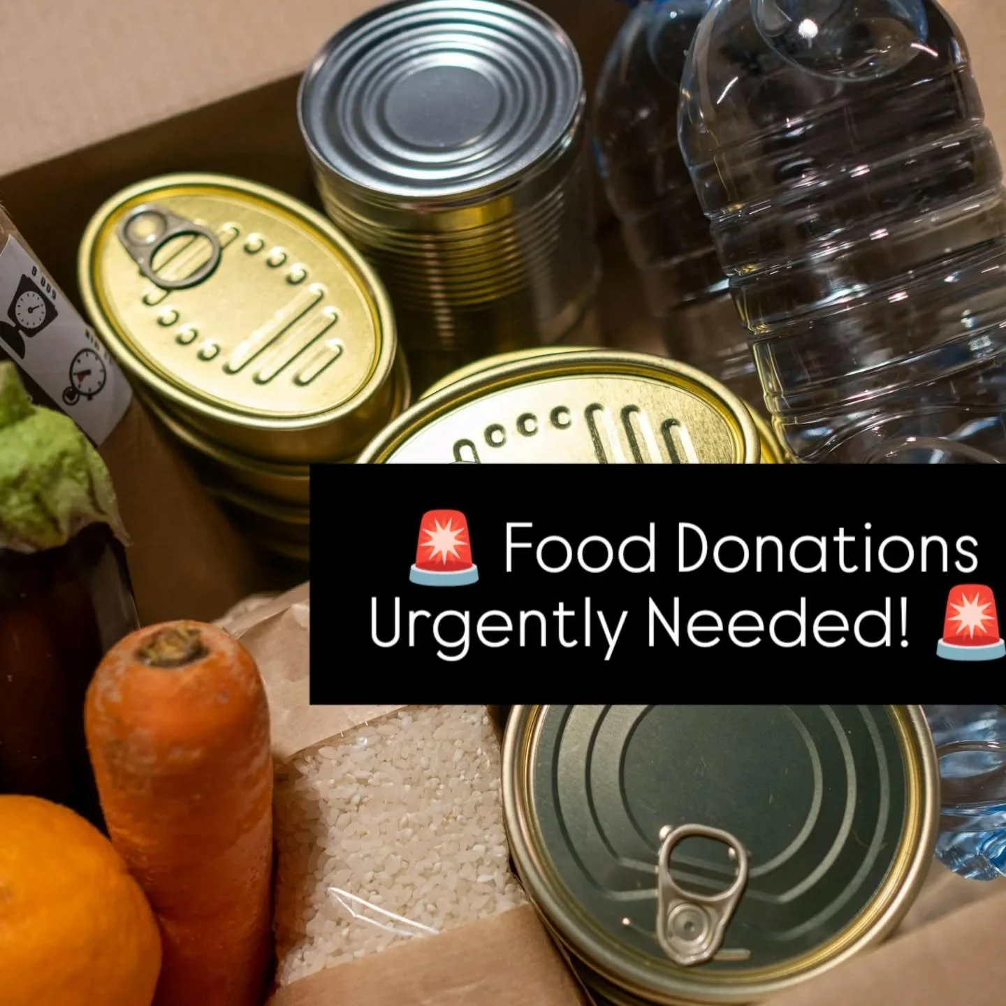 🚨Food Donations Urgently Needed! 🚨

In one week all SNAP benefits are ending due to the government shutdown. This will lead to a massive wave of requests for food assistance from Blue Skies Mutual Aid and other organizations that we don't have the 