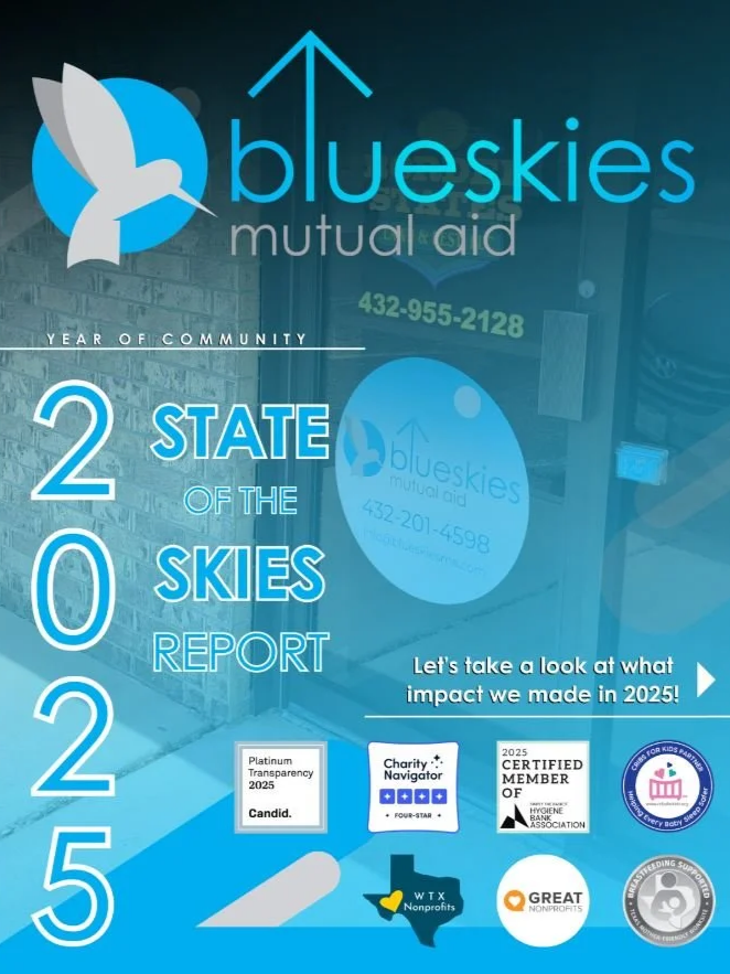 2025 State of the Skies Report