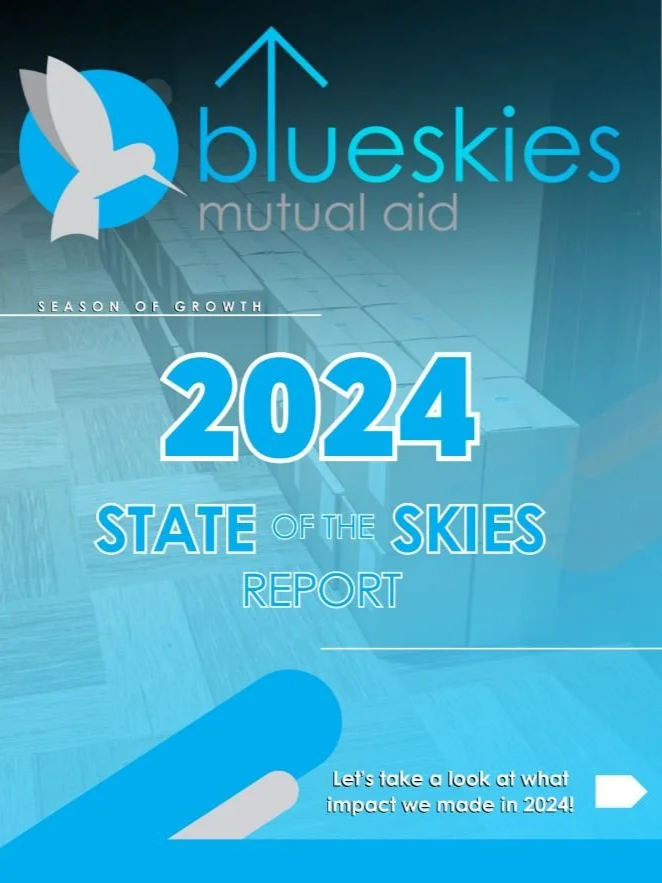 2024 State of the Skies Report