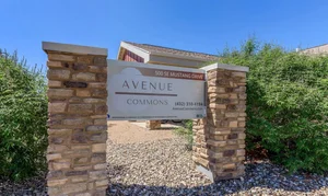 Avenue Commons