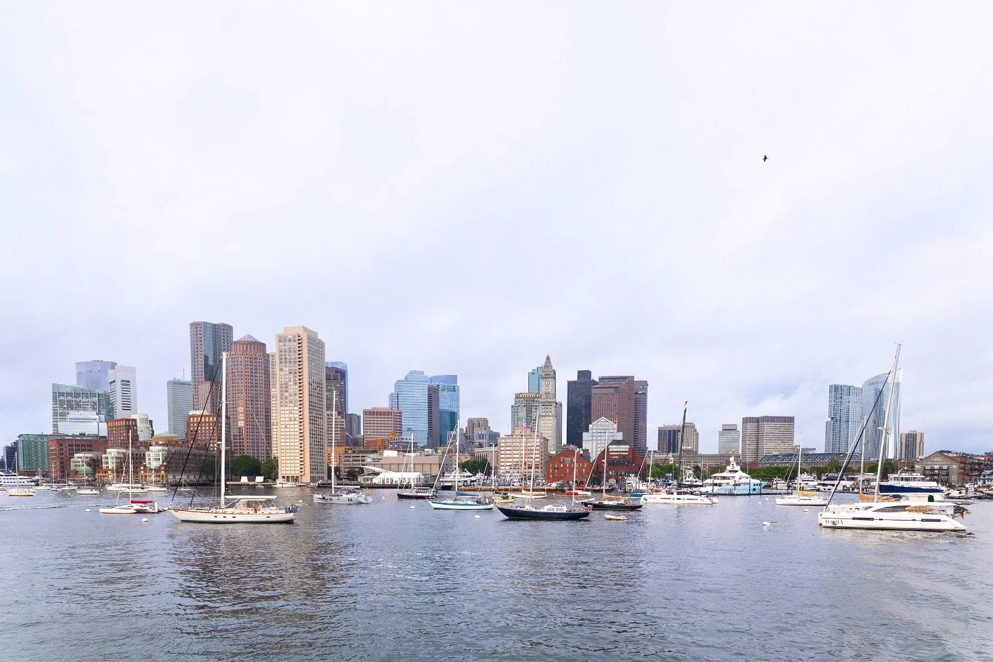 📍Home 

#boston #massachusetts #igboston #beautifulmassachusetts #newengland #city #harbor #bostonharbor #photography #photographer #photo #cityphotography #canon #canonr6 @canonusa