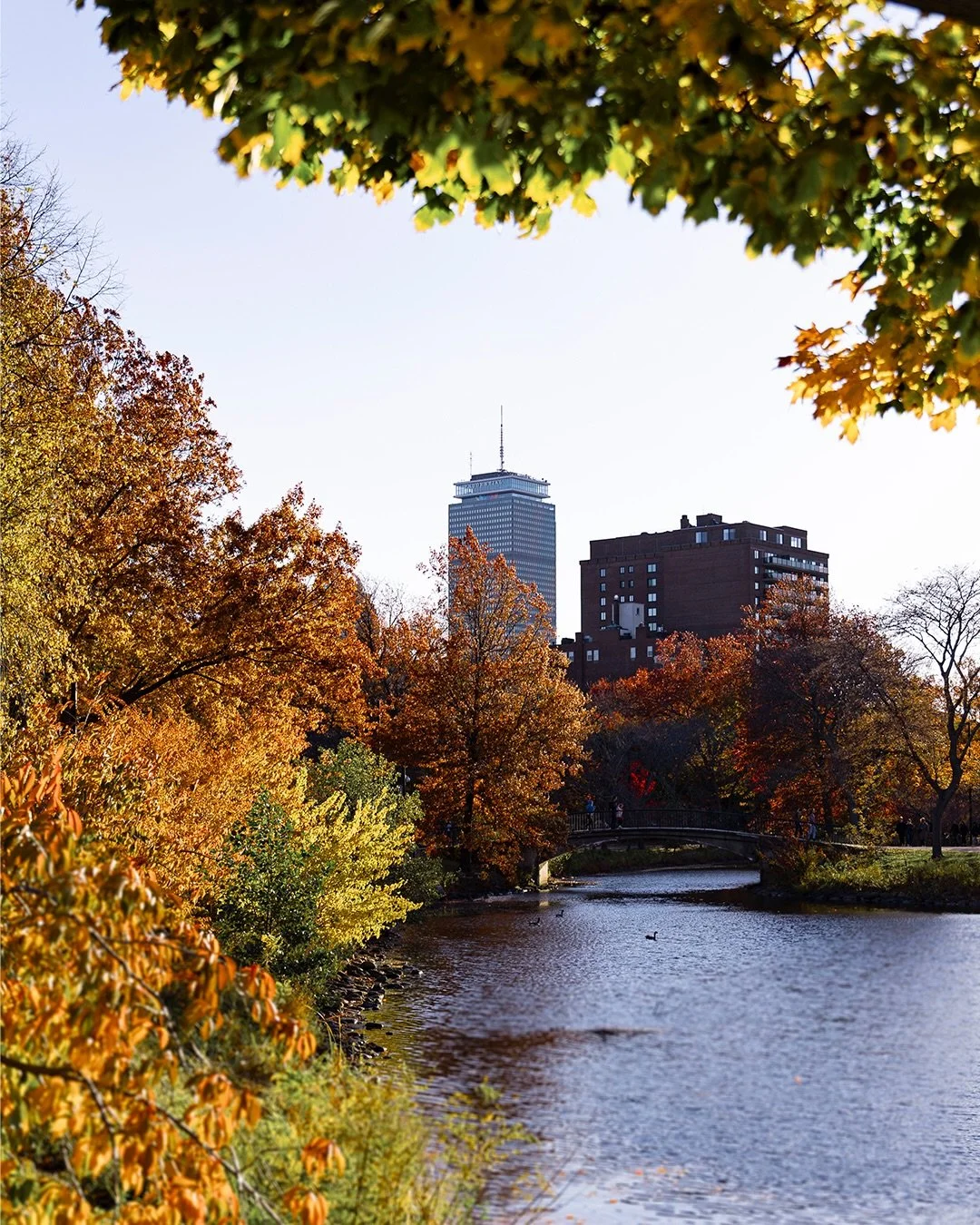 Fall in the City🍂🍁🌆 
#boston #massachusetts #fall #newengland #photography #photographer #cityscape #canon