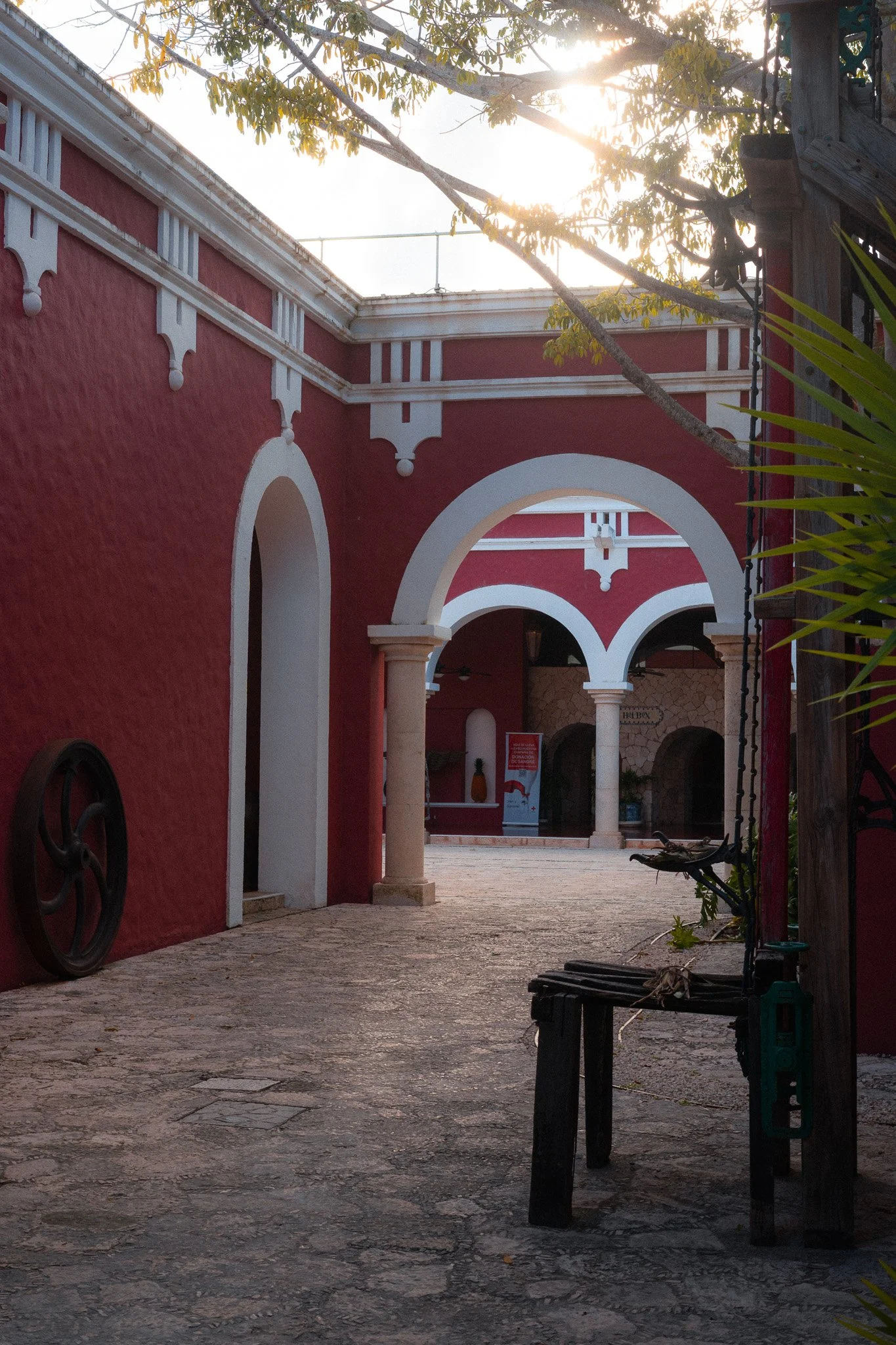 DSC03777.jpg