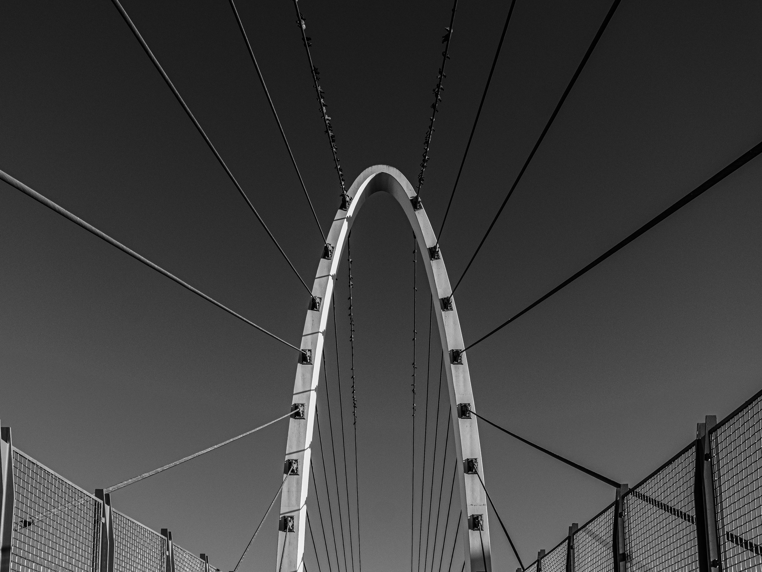Black and white photo of a large Ferris wheel with a curved white frame and spokes, and a metal fence in the foreground.