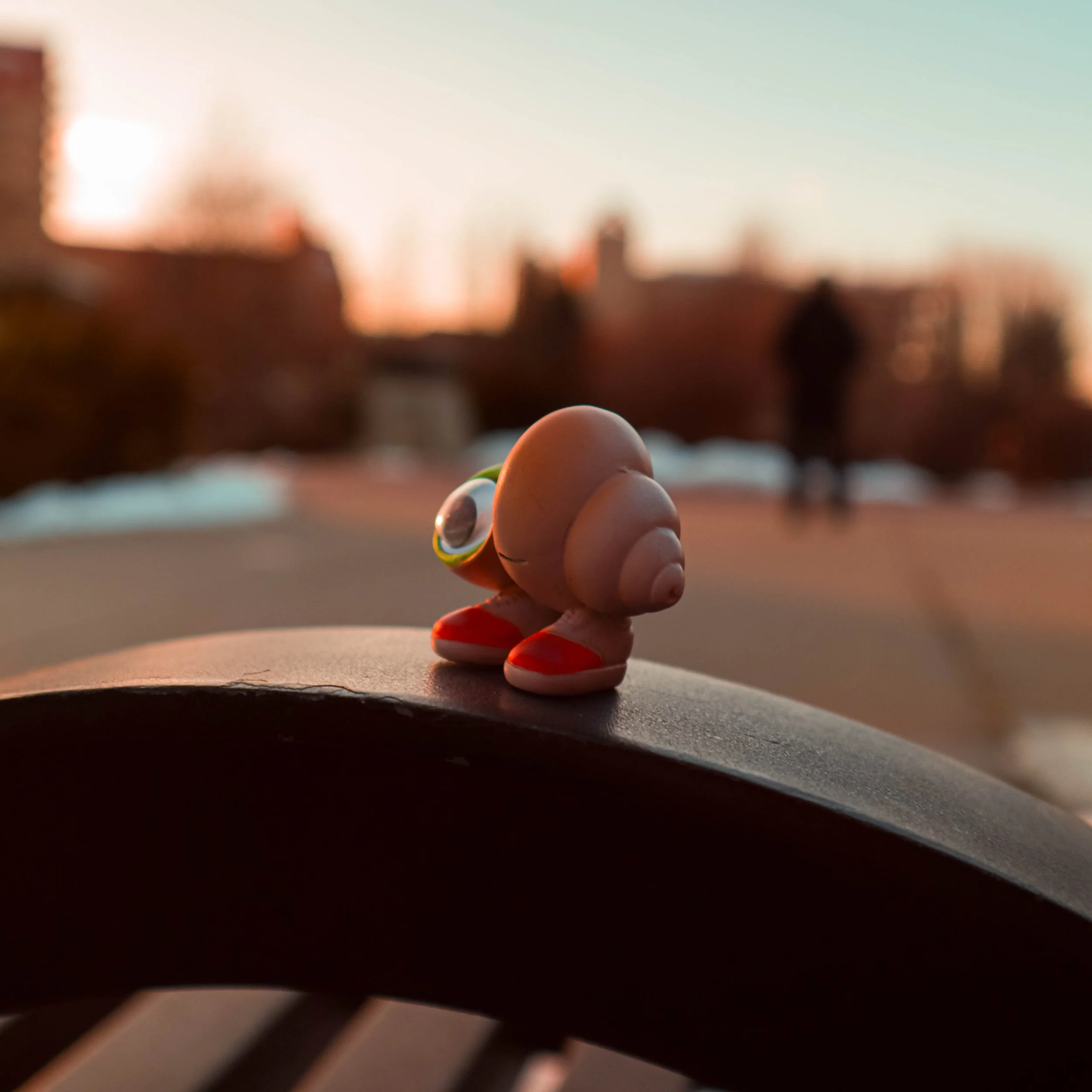 Close-up of Marcel The Shell with blurred background of a sunset or sunrise.