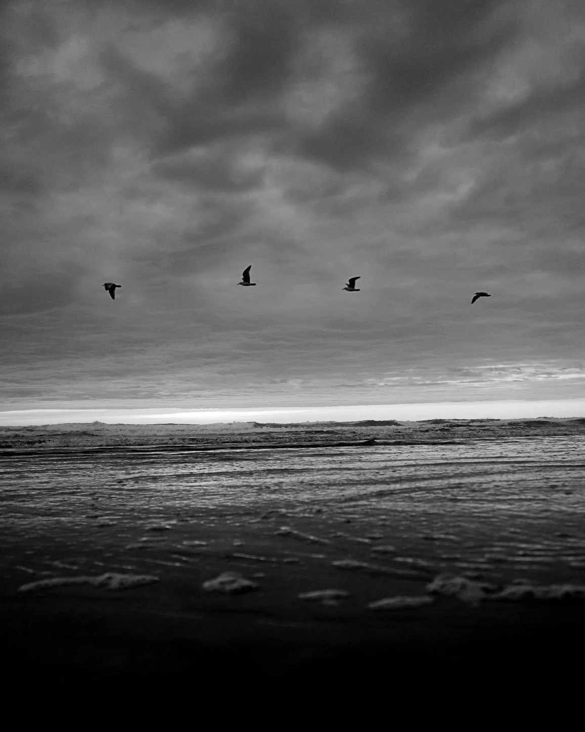 Black and white photograph of a beach with four seagulls flying in the sky above the ocean and cloudy sky.