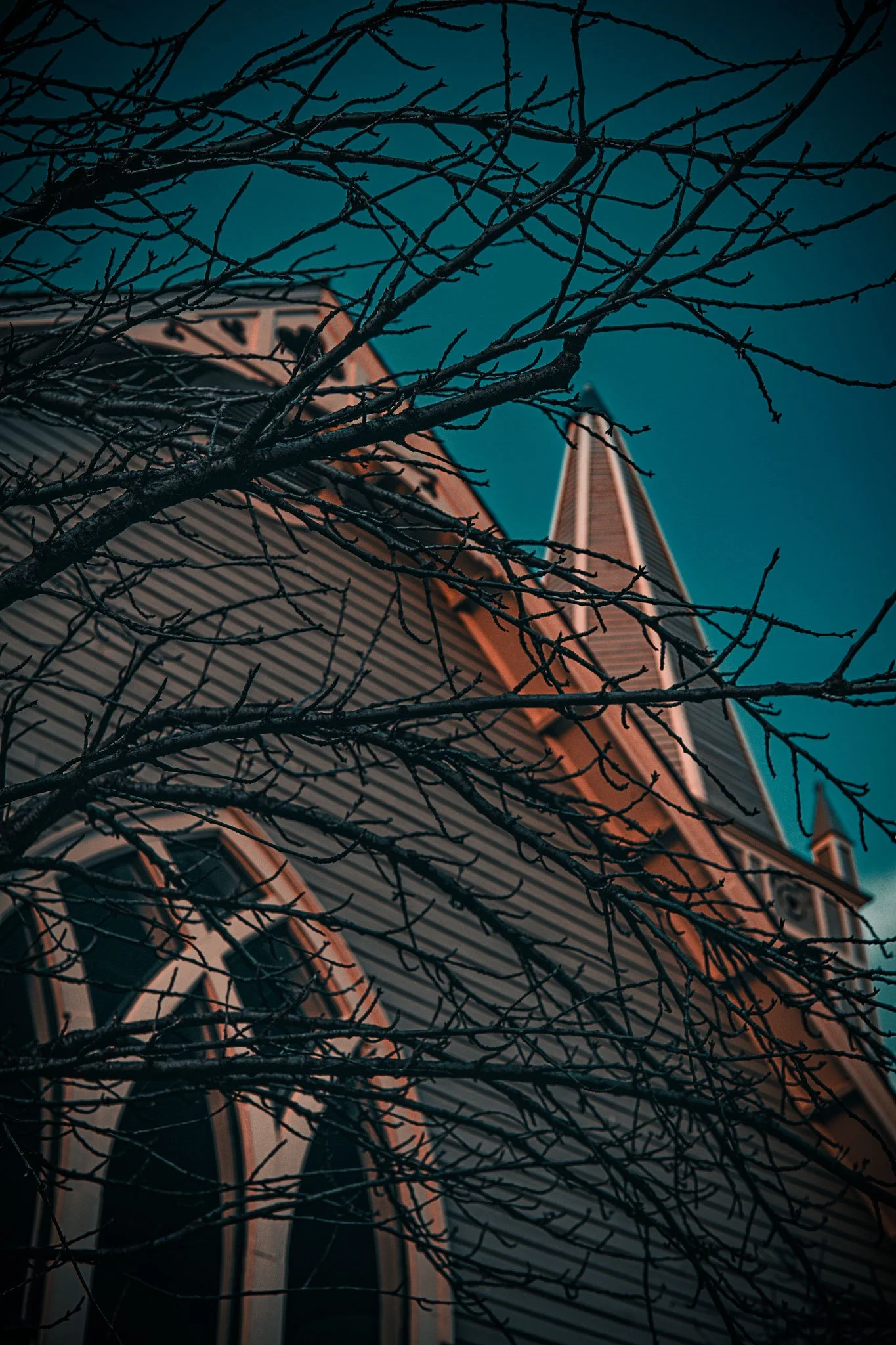 Gothic-style building with bare tree branches against a teal sky