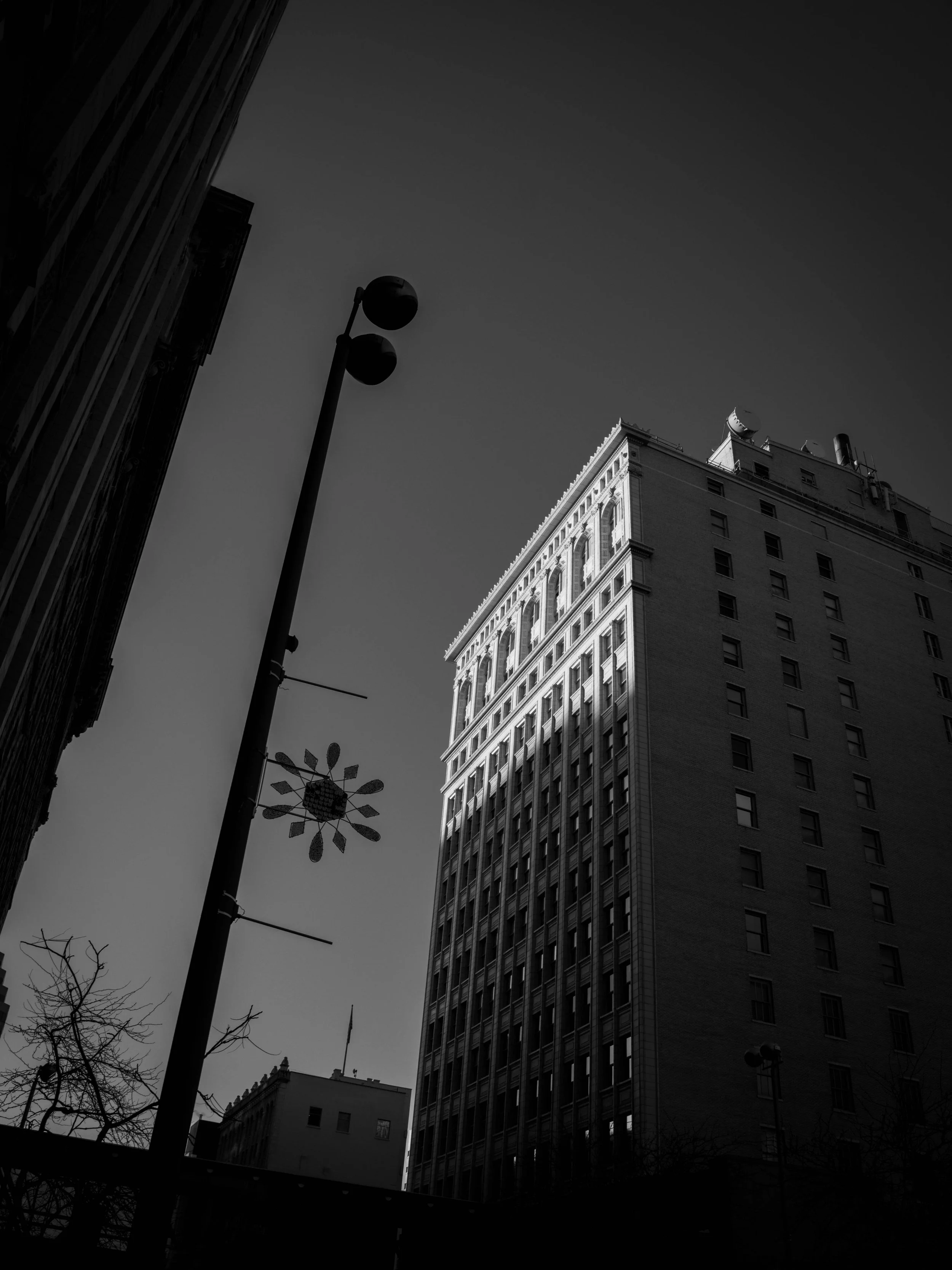 Black and white photo of tall buildings with clear sky, a streetlight, and tree branches.