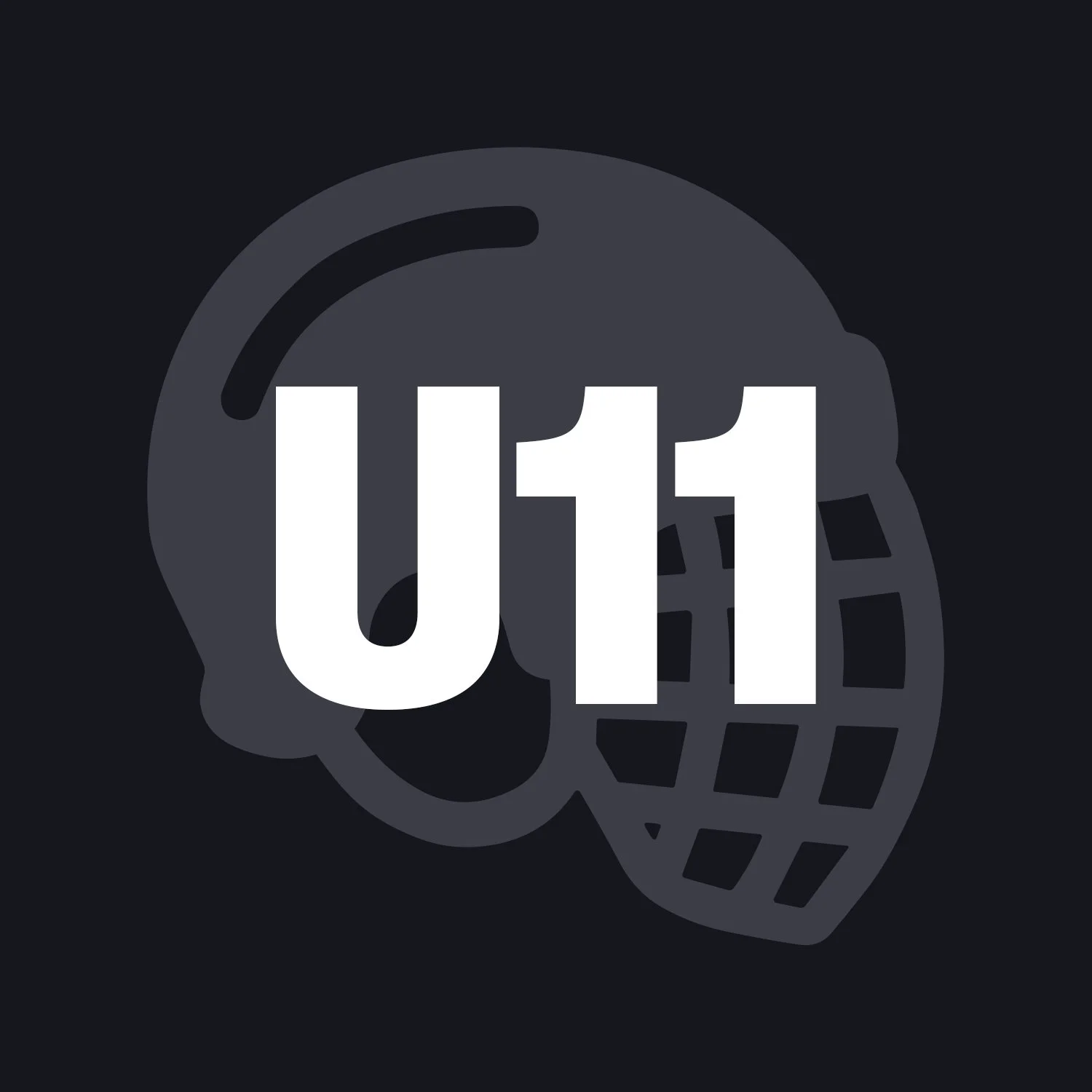 U11 Skater — 2016, 2017