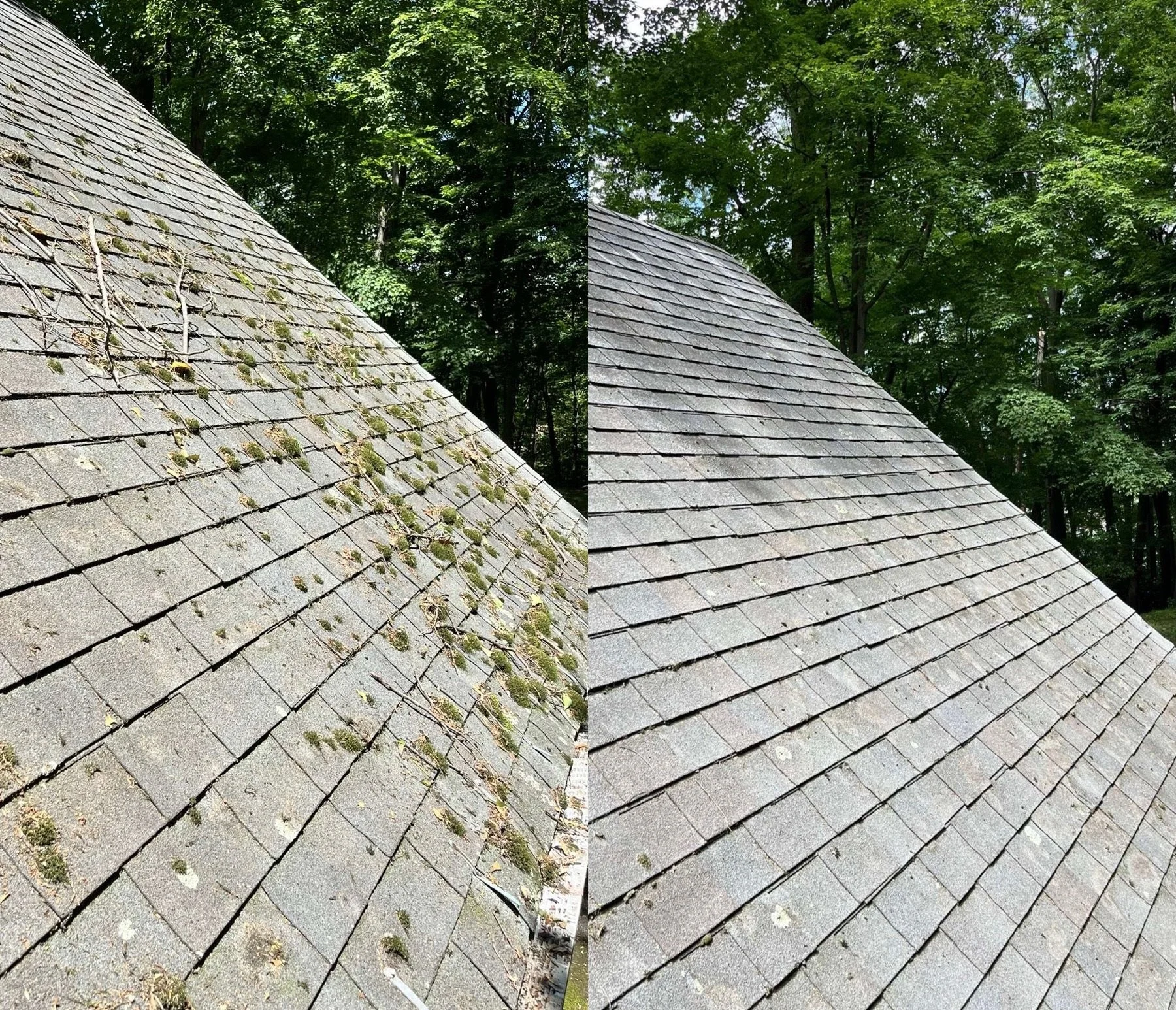 Comparison of a roof before and after cleaning, showing moss and dirt removal from the roof shingles.