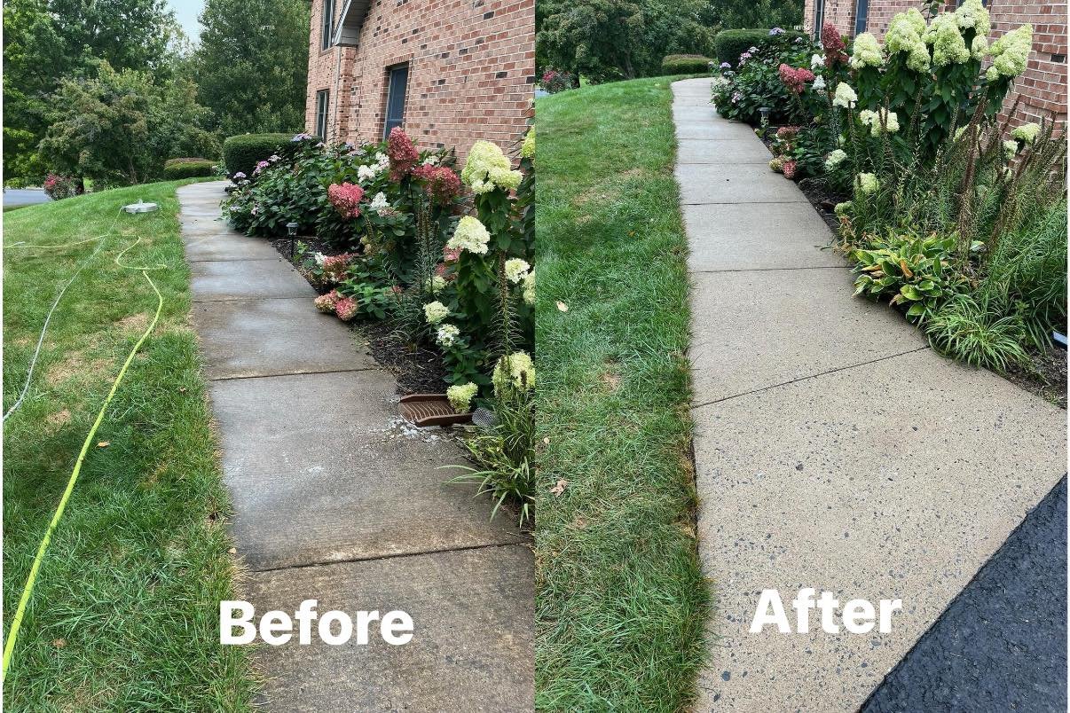 Comparison photo showing a side-by-side view of a sidewalk and landscaped area before and after cleaning and renovation. The left side labeled 'Before' shows a dirty, stained concrete sidewalk with overgrown grass and unkempt garden beds. The right side labeled 'After' shows a clean, lighter-colored sidewalk with trimmed grass and well-maintained garden beds.