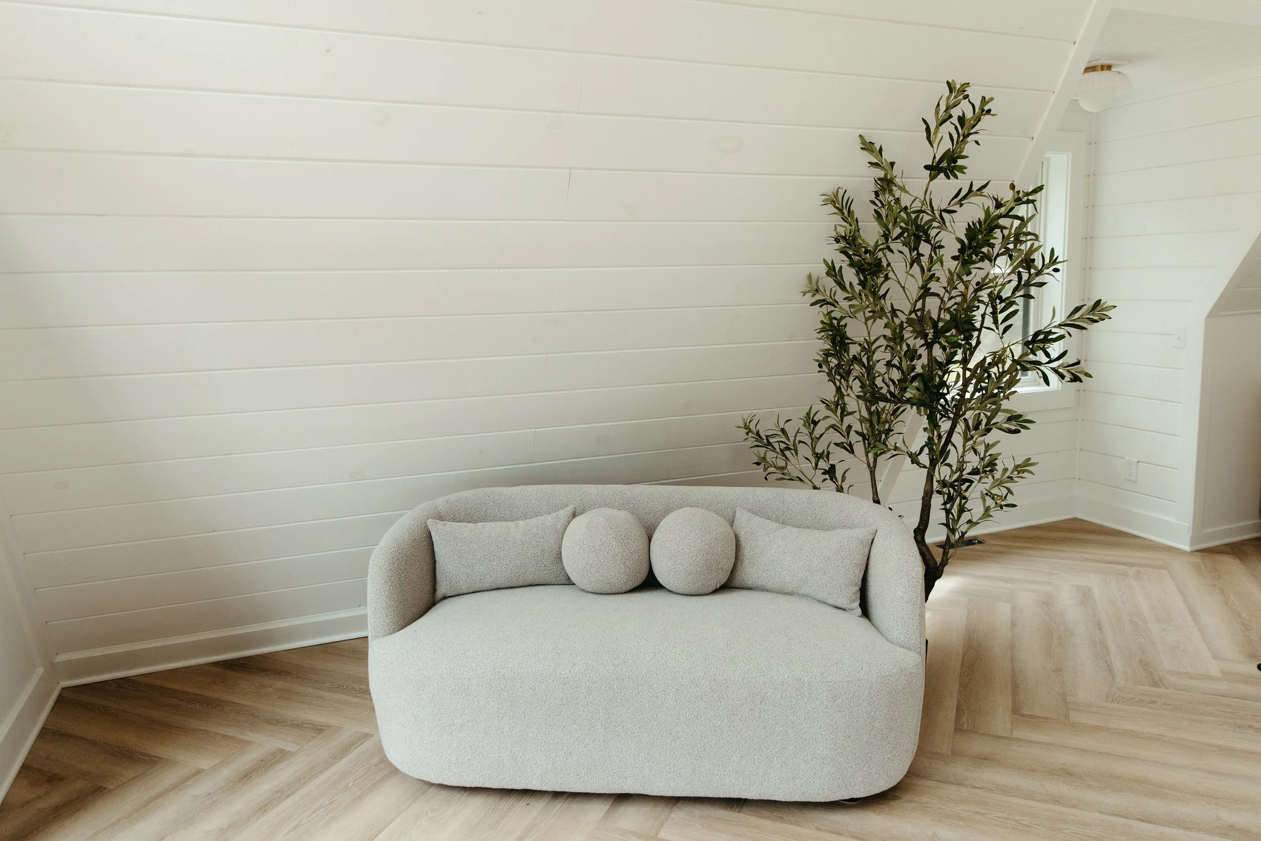A cozy living room corner featuring a light beige sofa with three round pillows, a large green leafy plant, and white shiplap walls with a window on the right side, and light wood flooring.