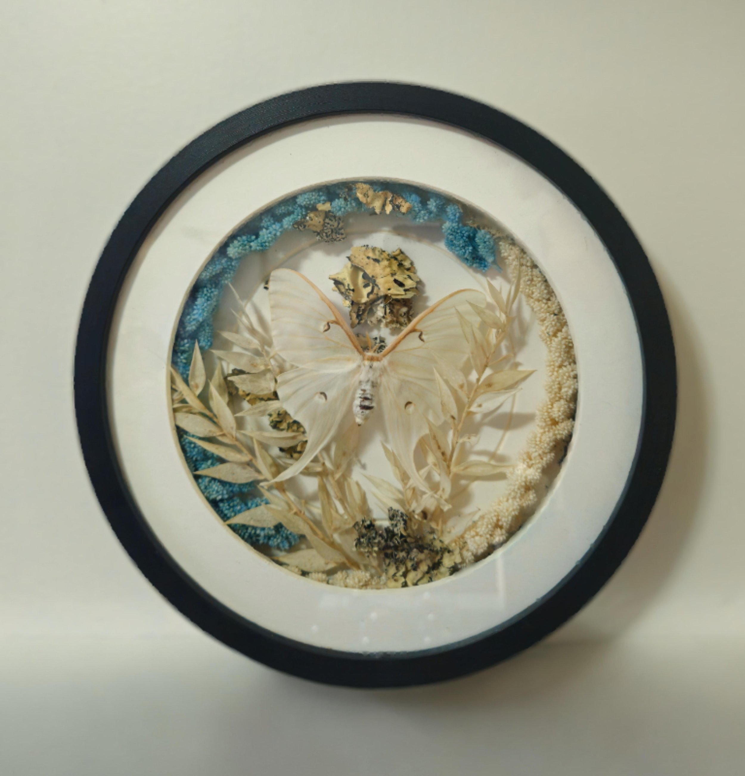 Moon Kept, Time Worn