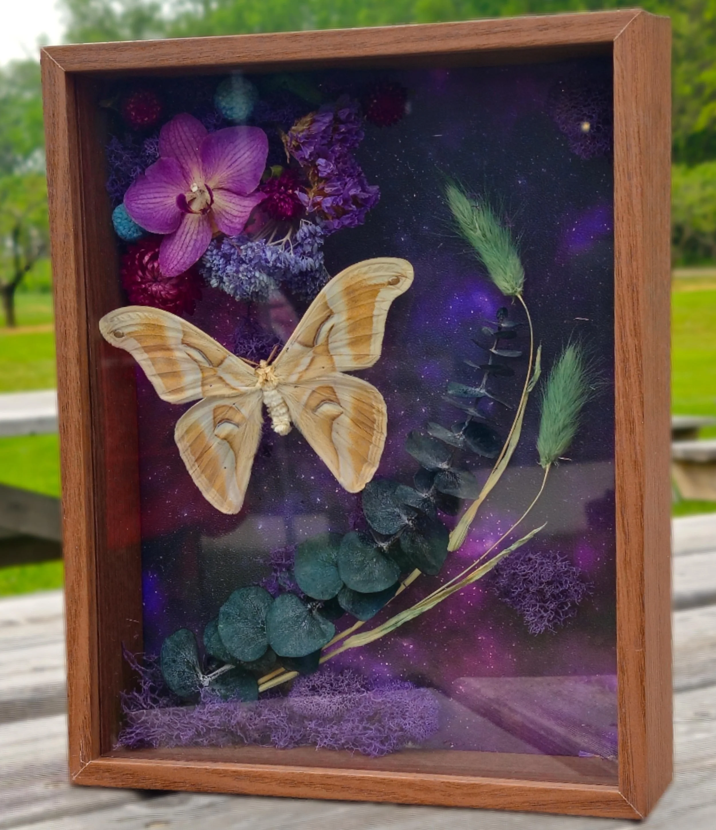 Where the Stars Remember Us