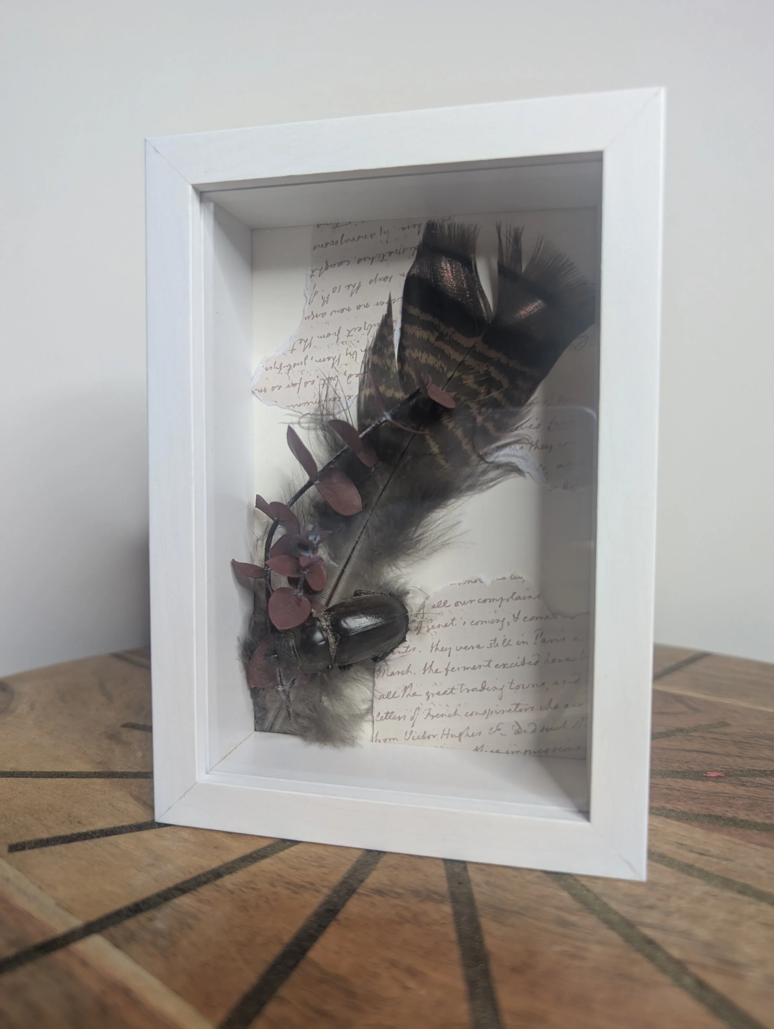 A Letter Never Sent