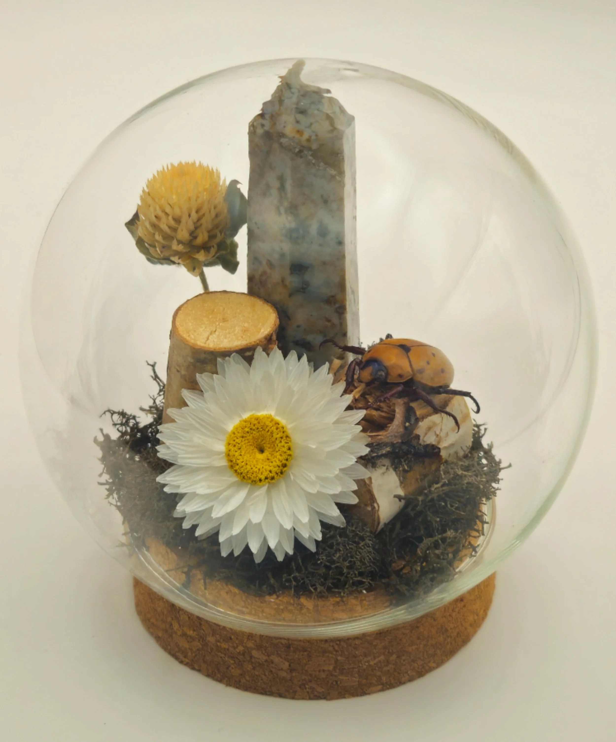 Stone & Sun’s Embrace