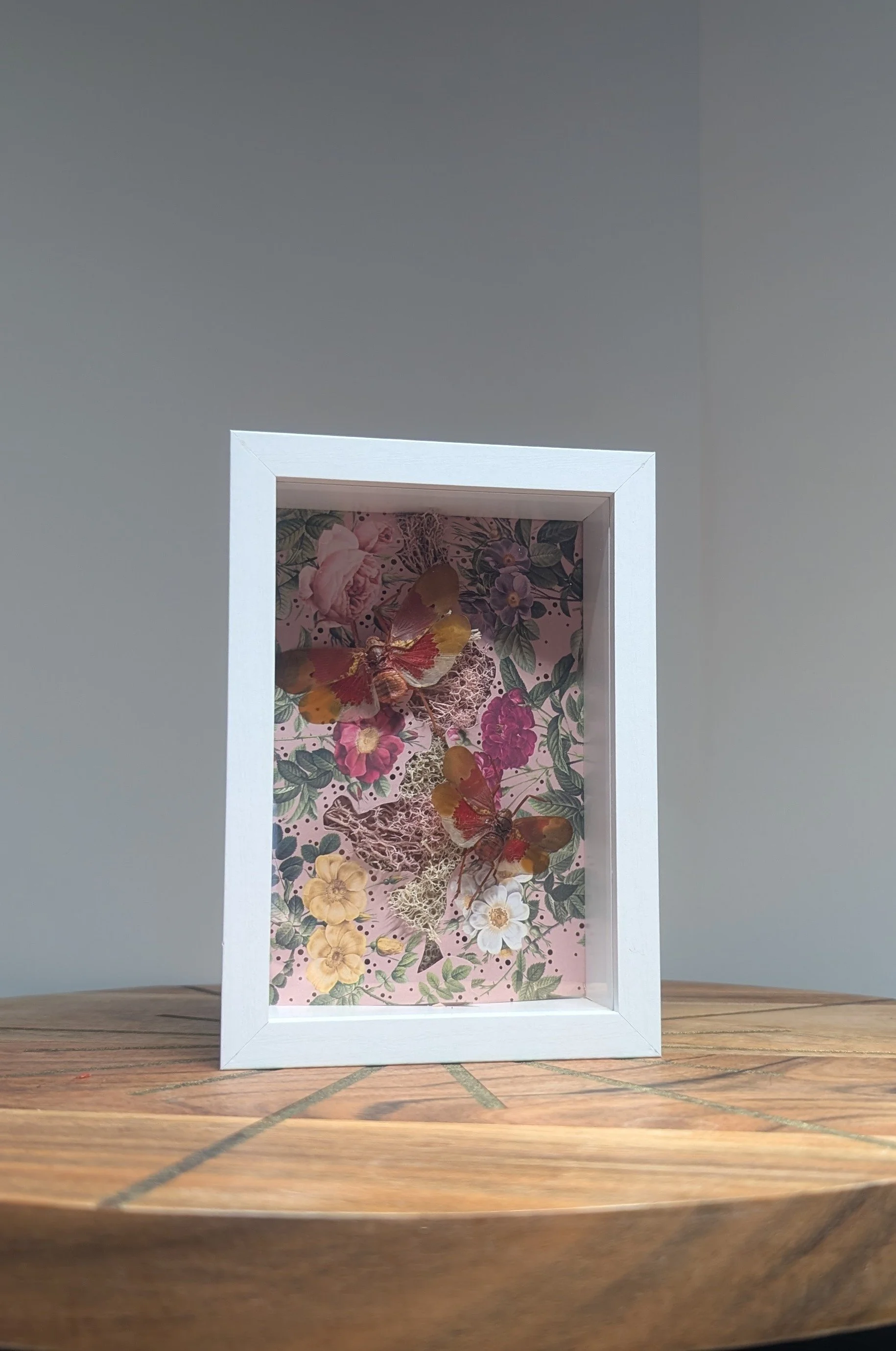 Blush and Bloom