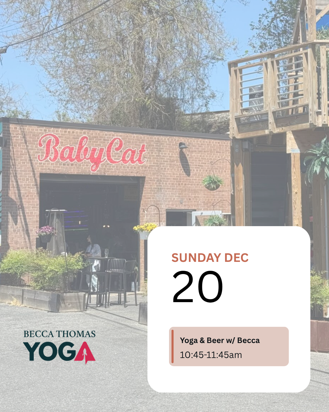babycat flyer (1).png