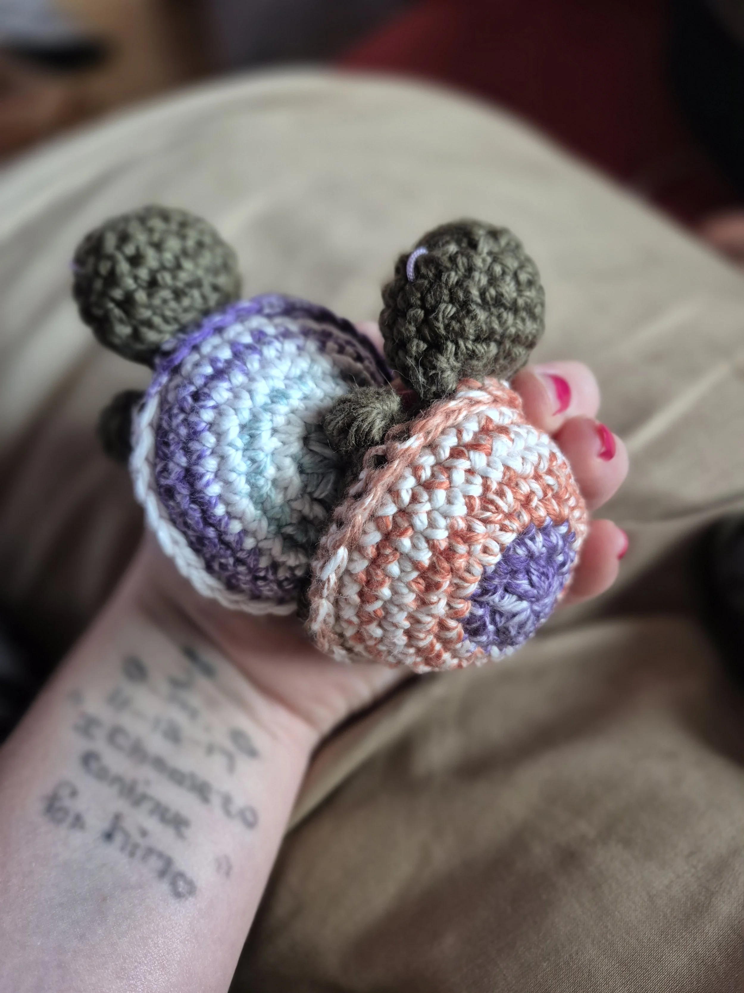 Two-turtles.jpg