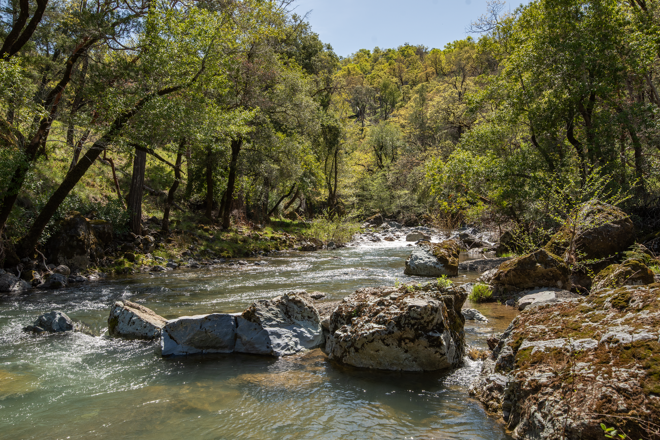 Ridge Ranch Spring Shoot 9 .png