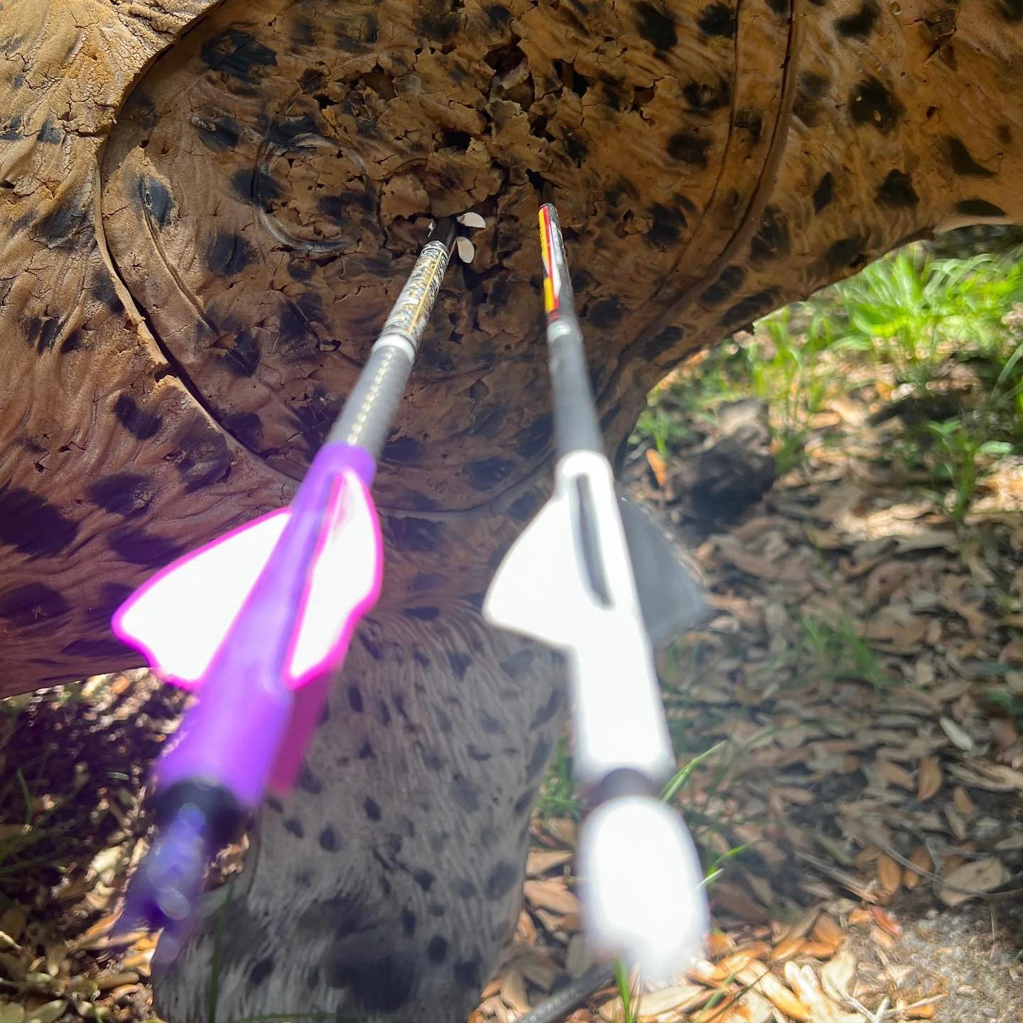 Closest to the pin became bye bye 👋 golf tee game. #archery #melbourne #brevardcounty