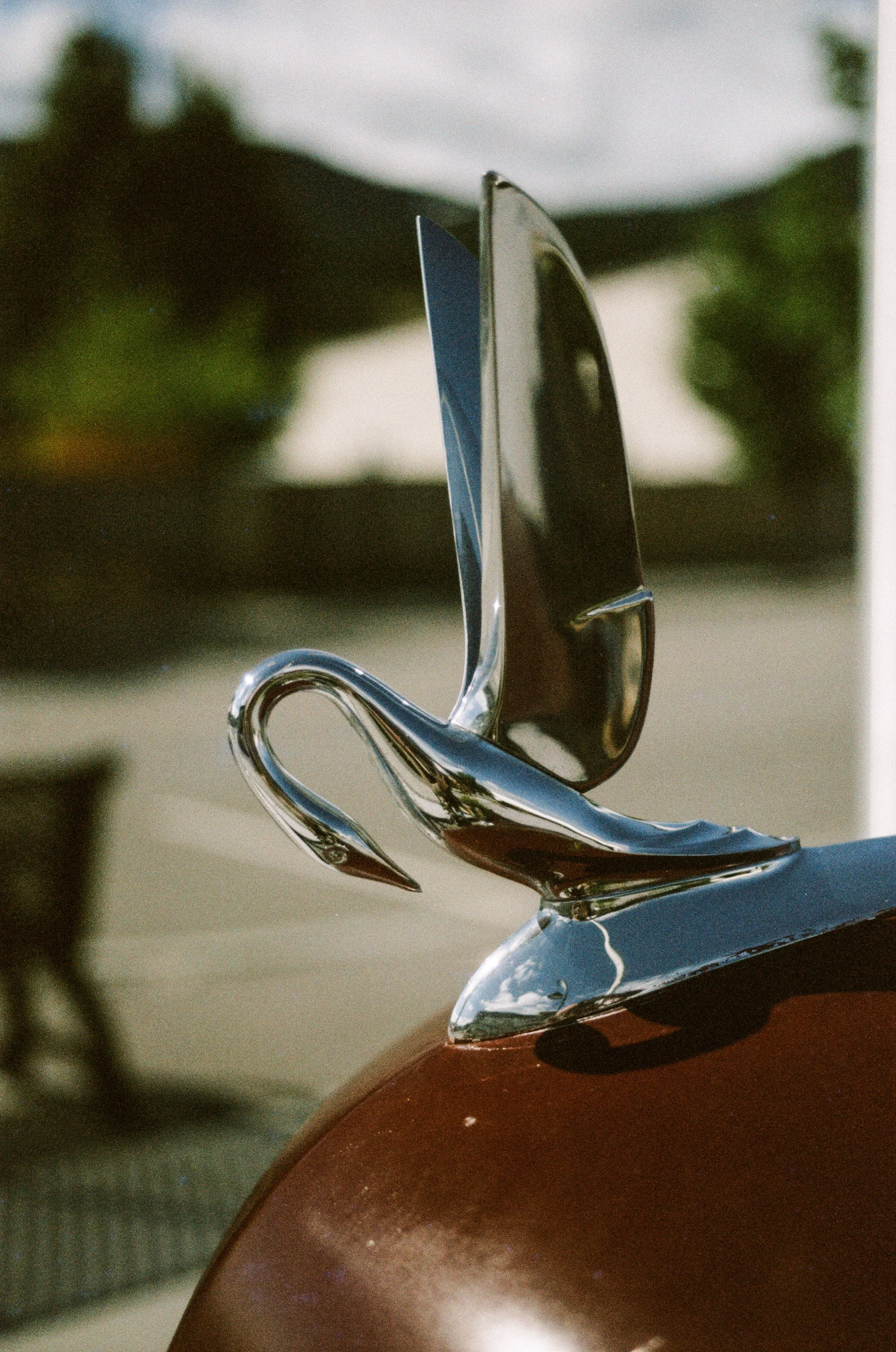 Nostalgic Color 400 Crowsnest Video-19.jpg