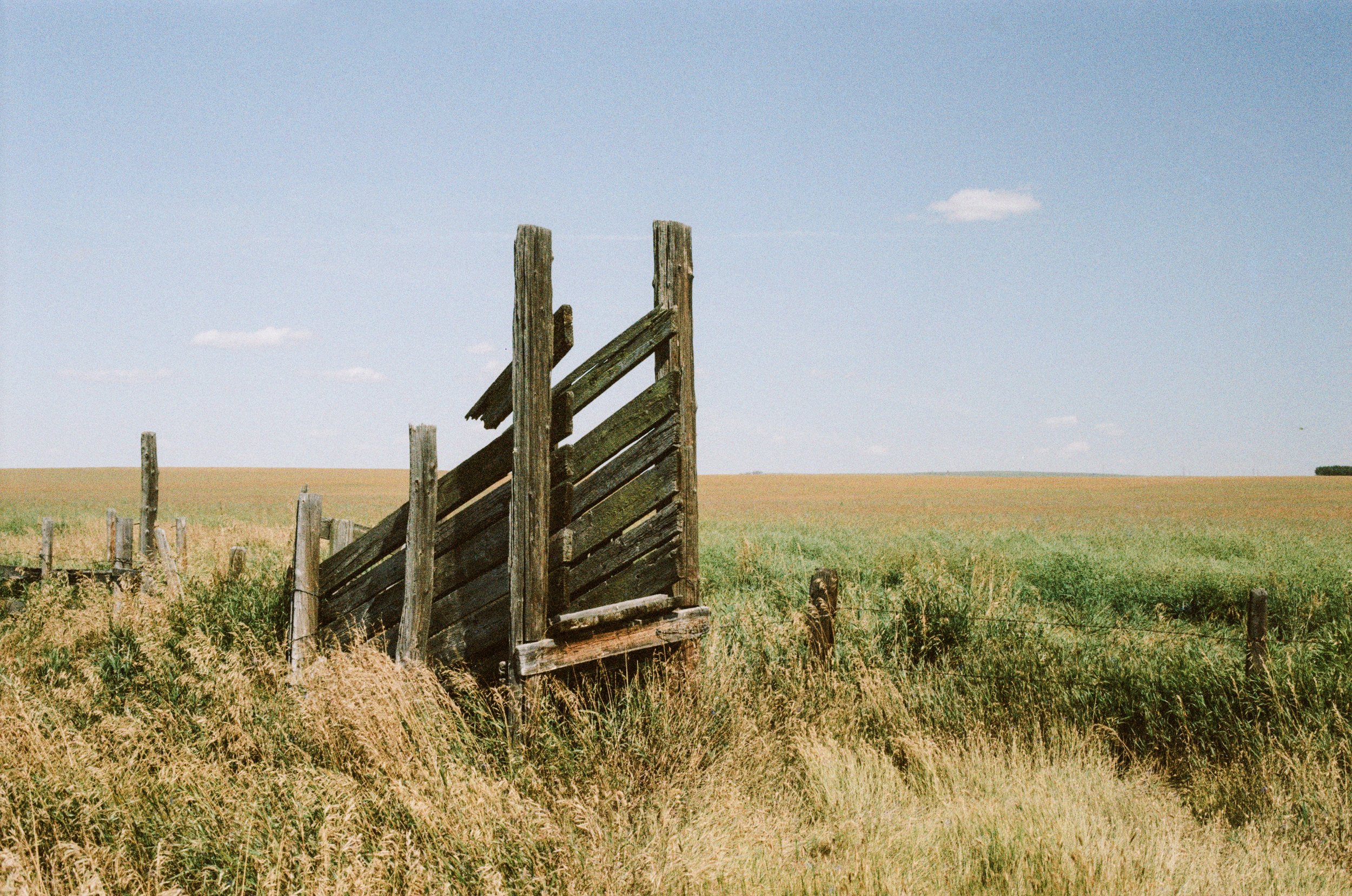 Nostalgic Color 400 Crowsnest Video-21.jpg