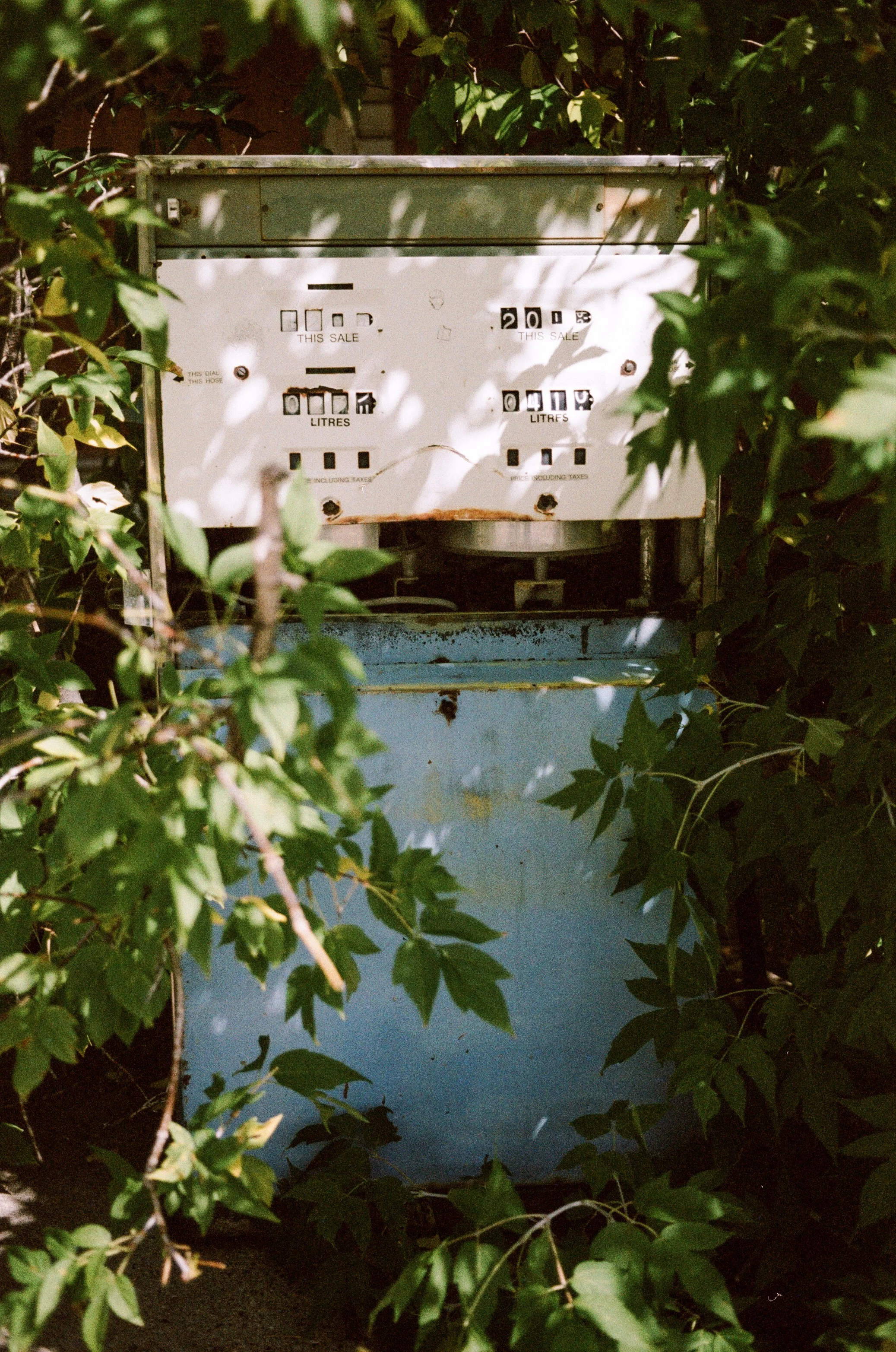 Nostalgic Color 400 Crowsnest Video-8.jpg