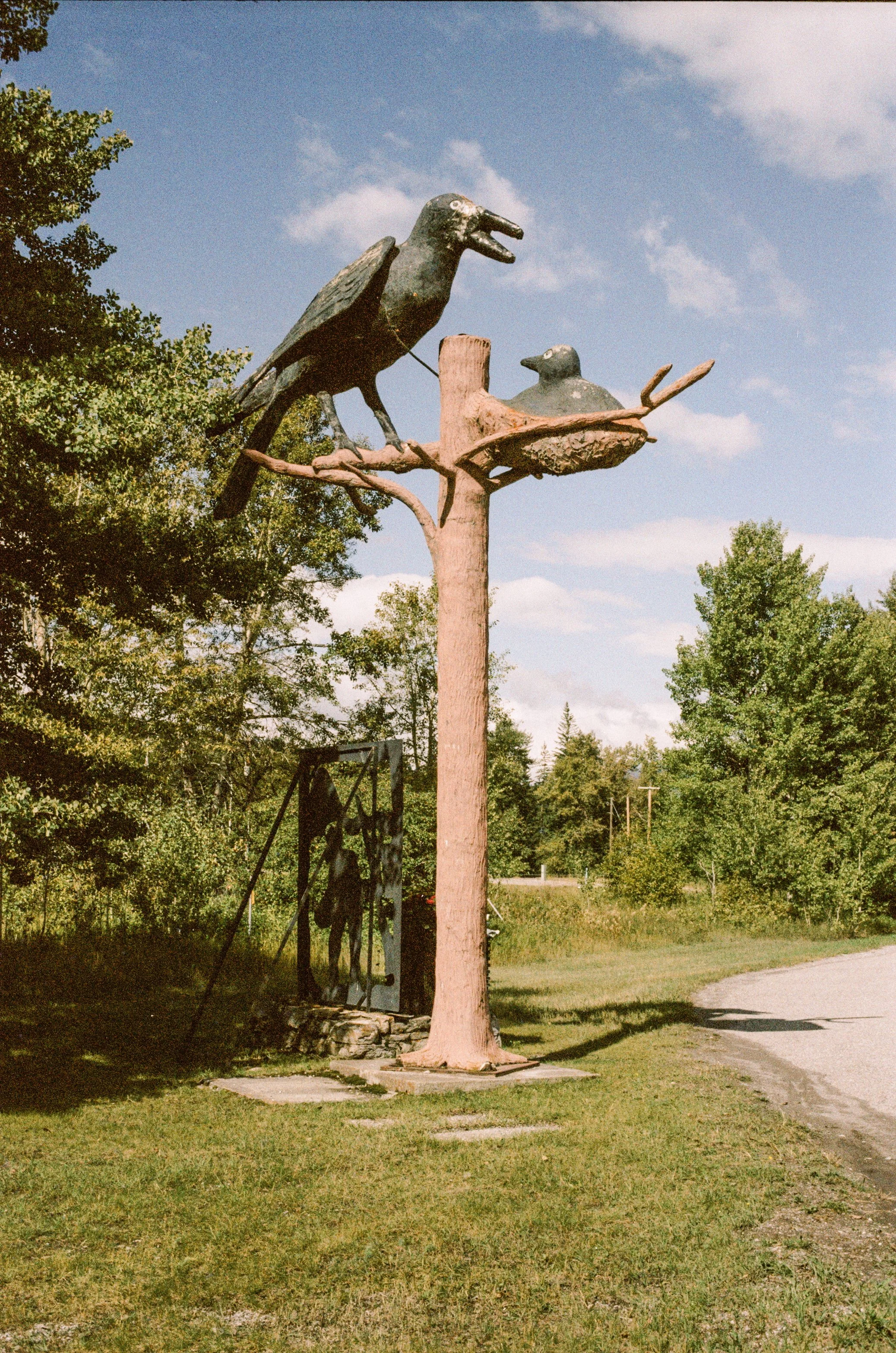 Nostalgic Color 400 Crowsnest Video-3.jpg