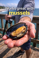 Mussel harvest by the shore2.png