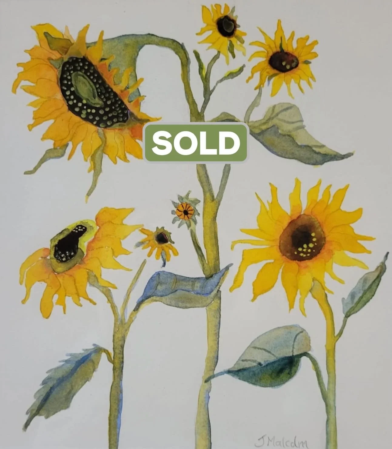 SOLD - "Sunflower Song" - 13 x 17" - Watercolour Framed - $300.00