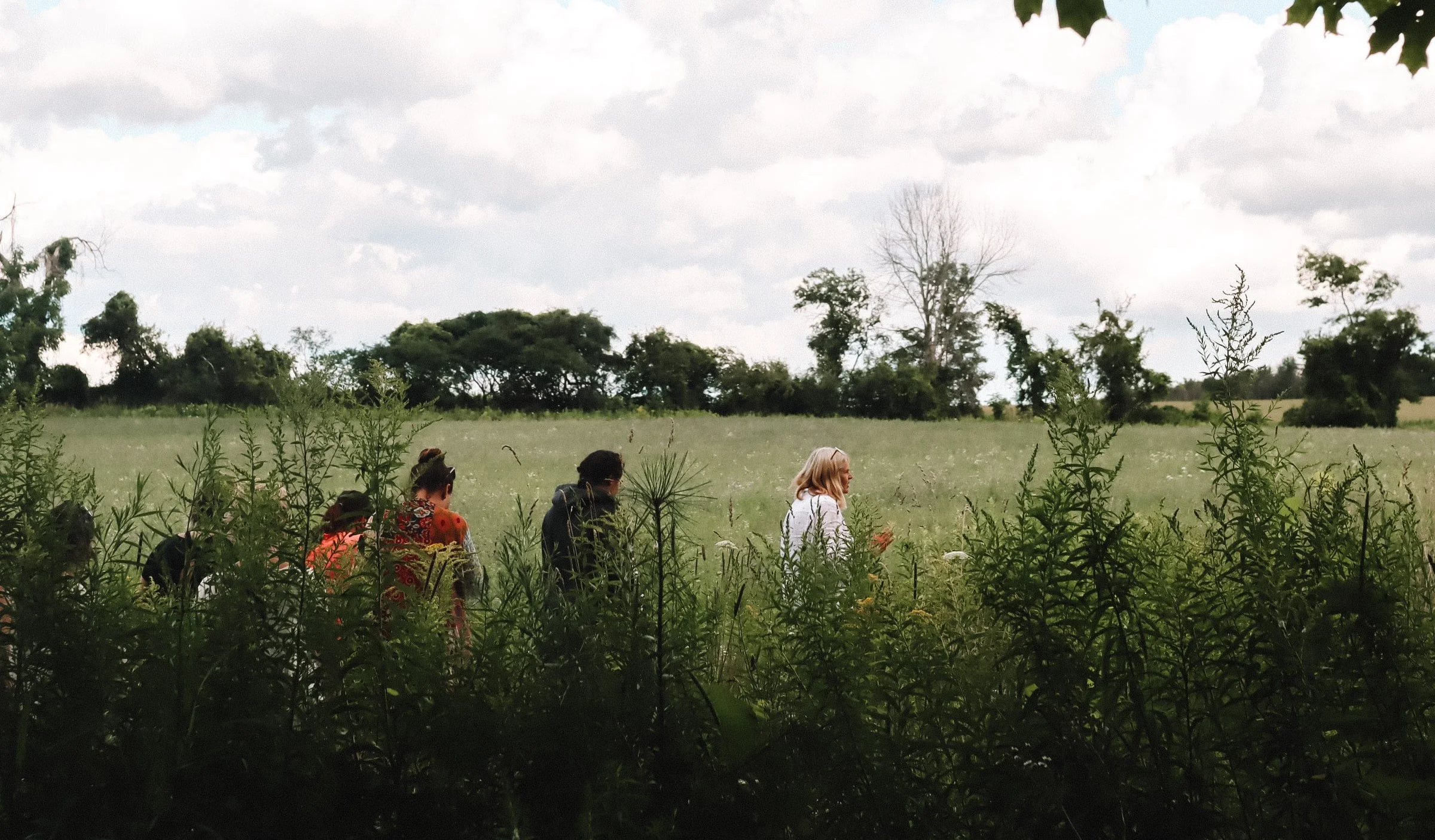 Forest tour at Harmony Within