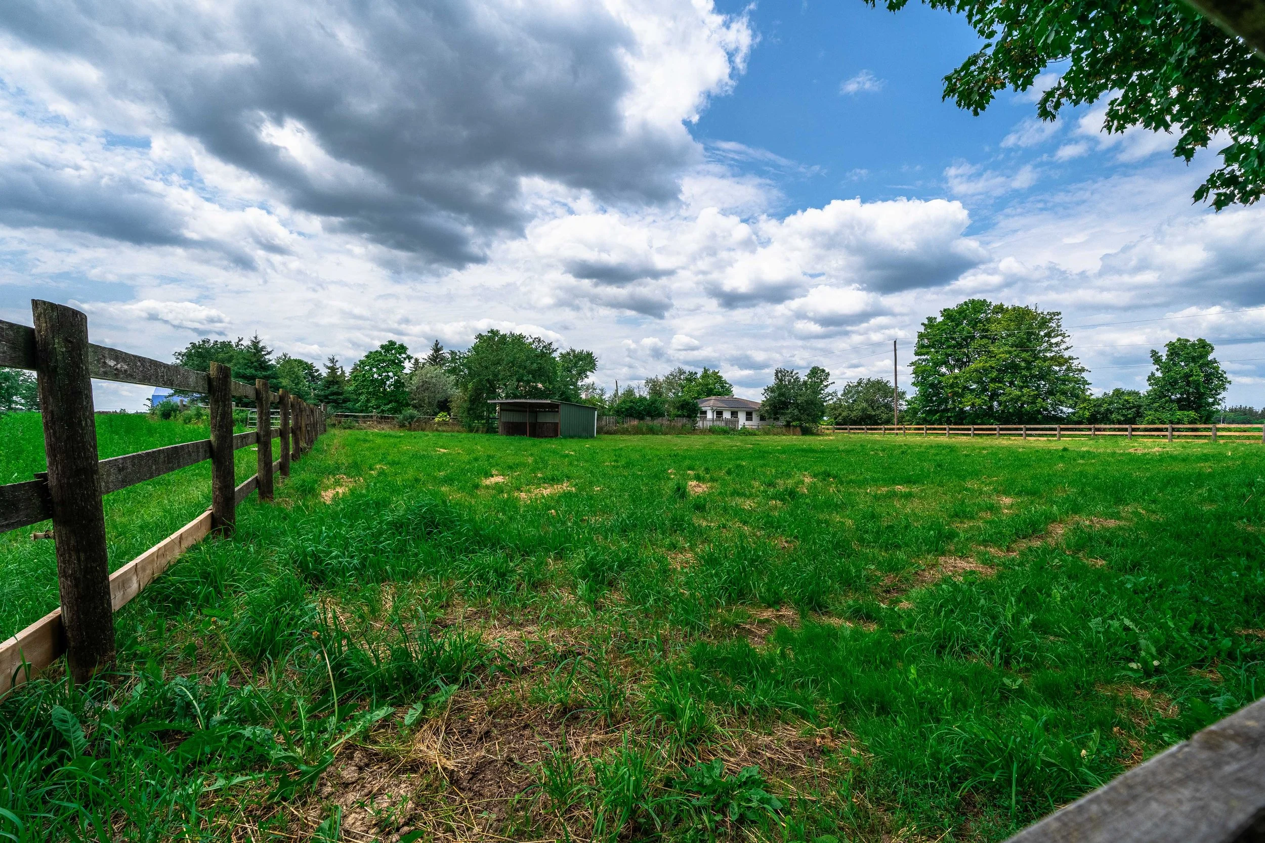 2224 Concession Road 6, Branchton-20.jpg