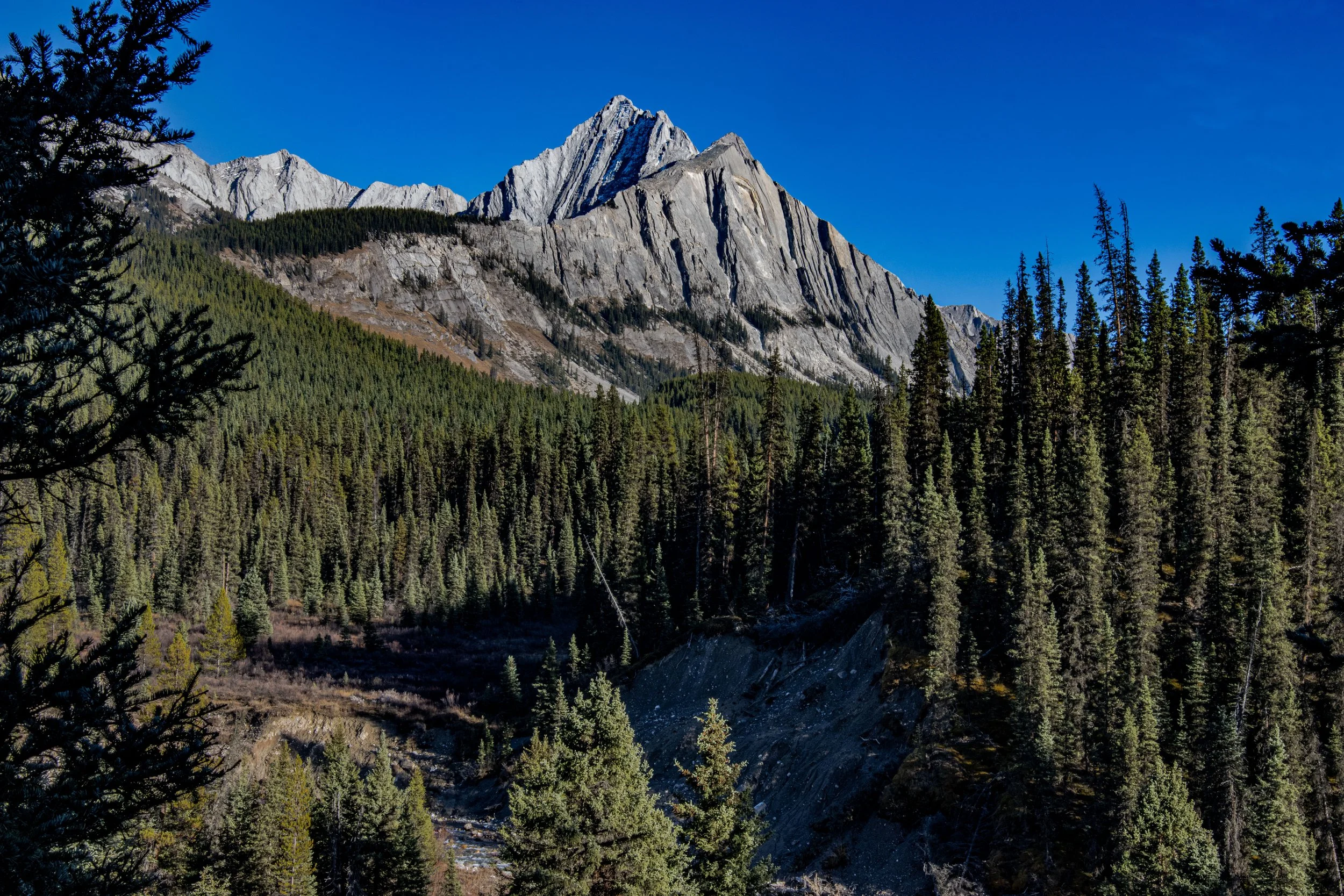 Banff Alberta Mountain 2