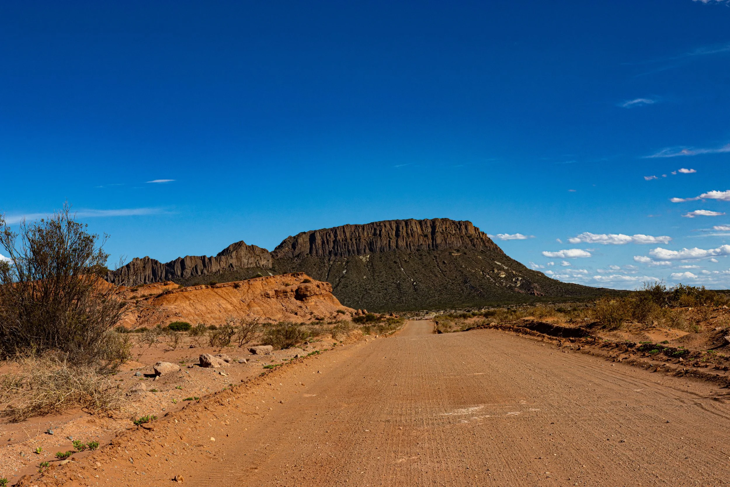 Argentina Desert