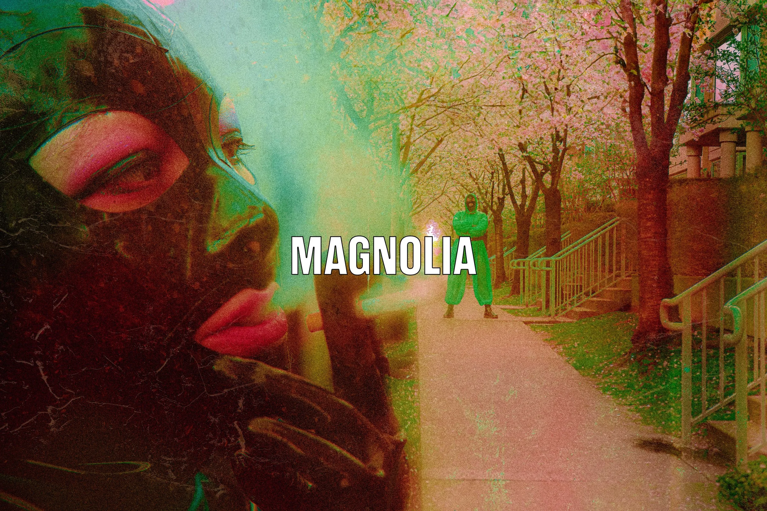 MAGNOLIA-1.jpg